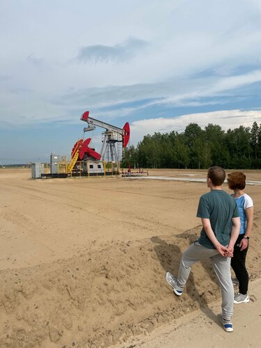 Landmark, attraction Нефтяные насосы, Gomel District, photo