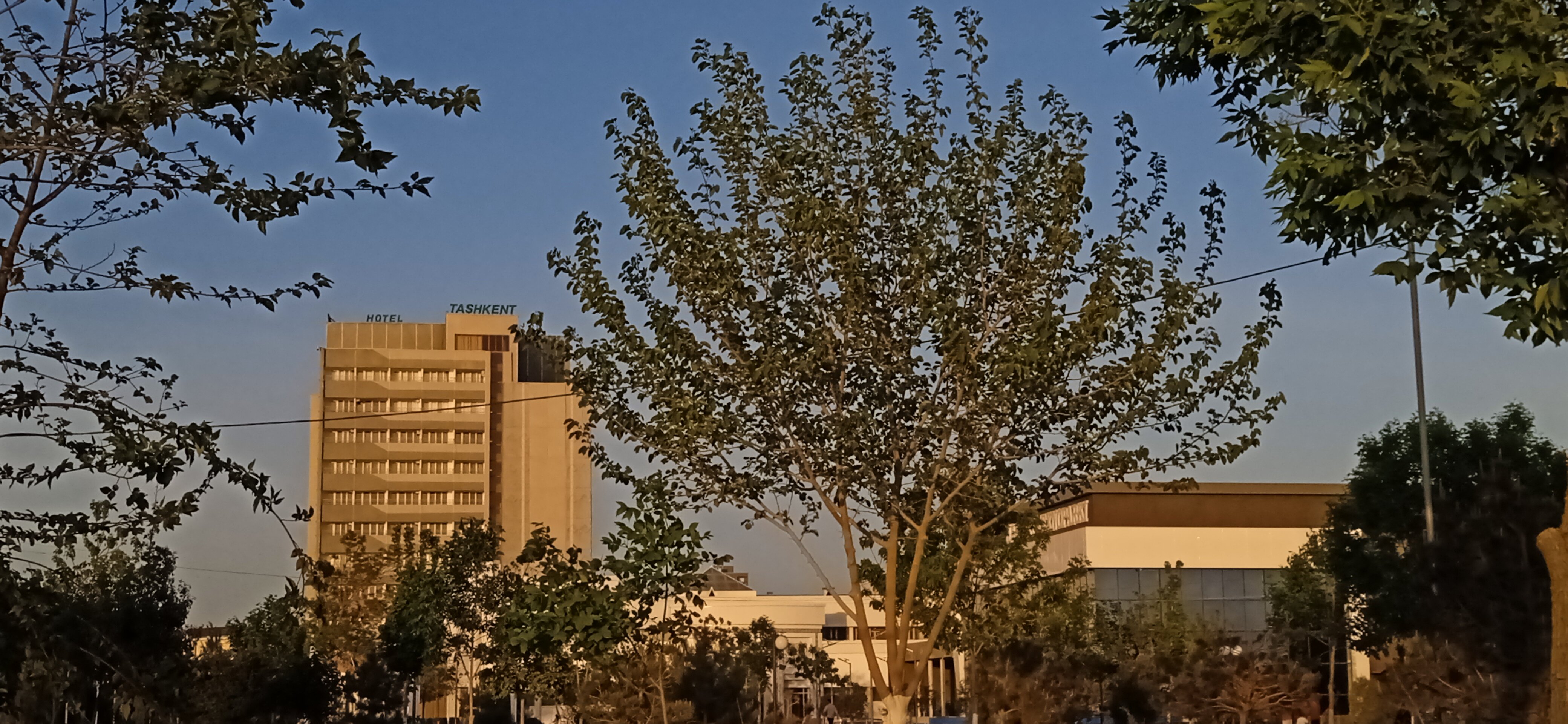 Фото Гостиница Ташкент