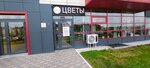 Pion Surgut (Universitetskaya ulitsa, 17), flower shop