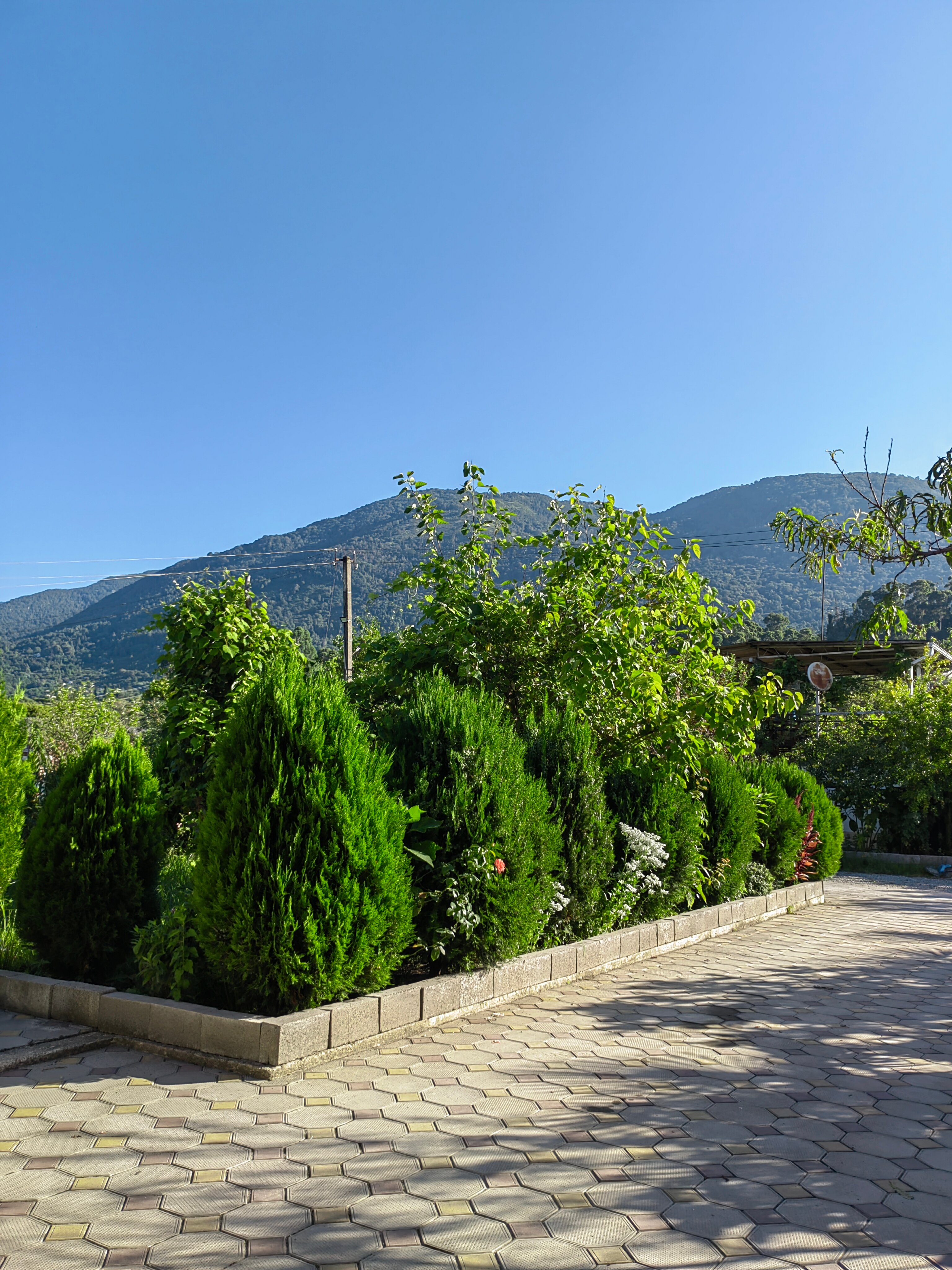 Фото Ахчыпсы