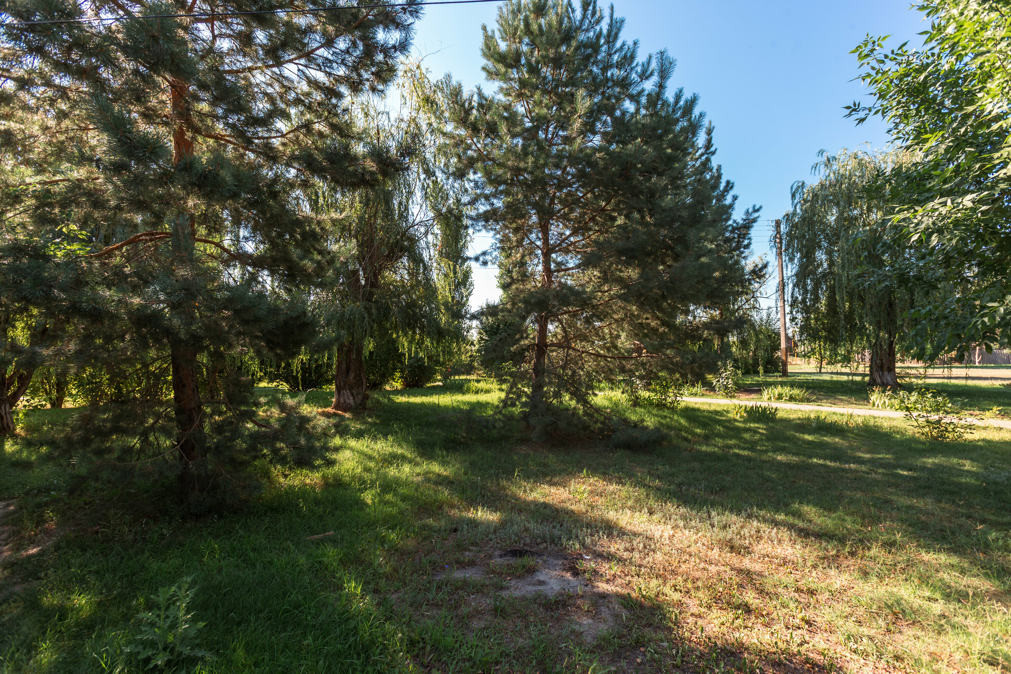 Фото Бережок