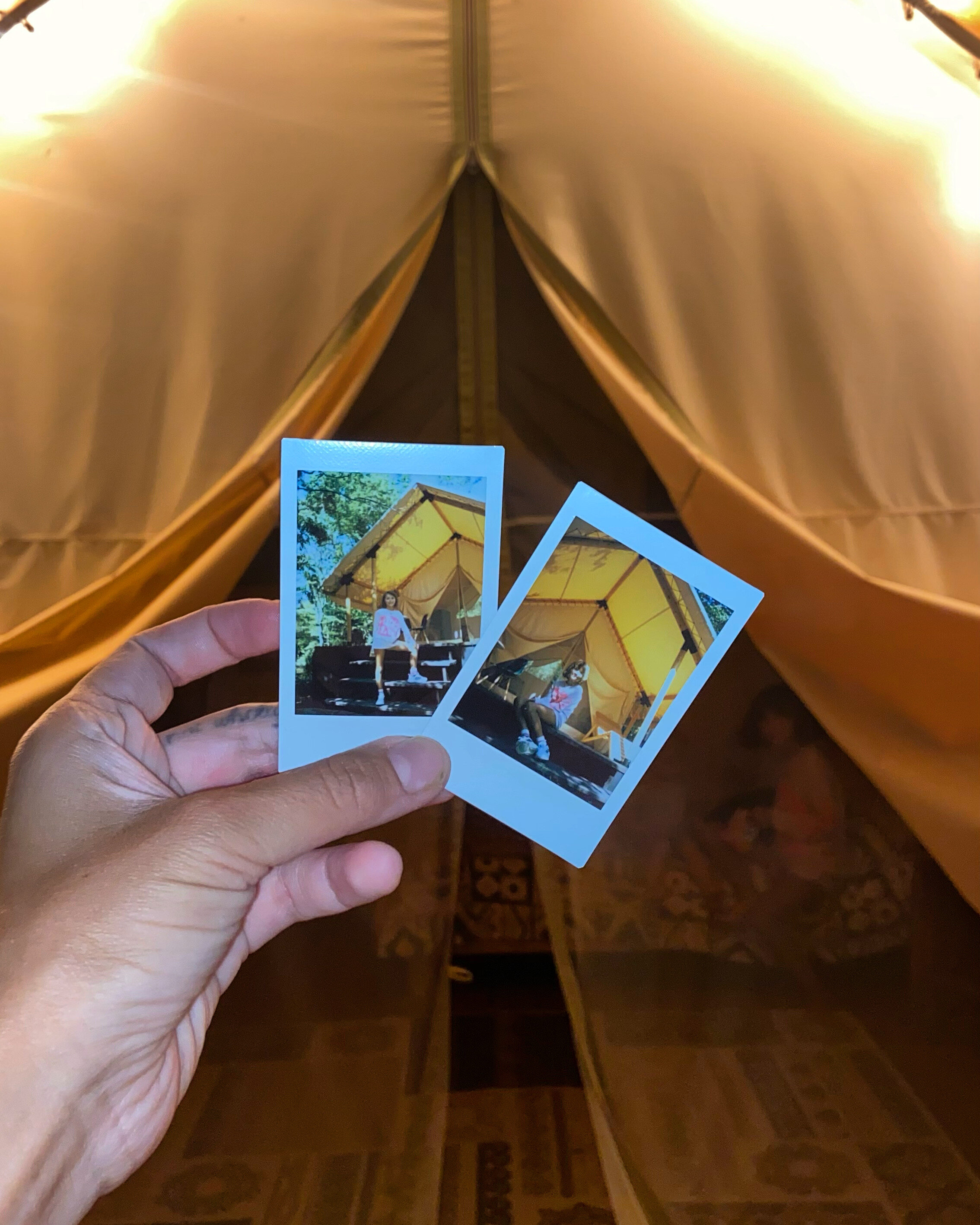 Фото Горный Енот