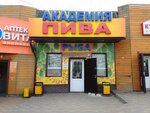 Академия Пива (ulitsa Bazarova, 99А), bar, pub