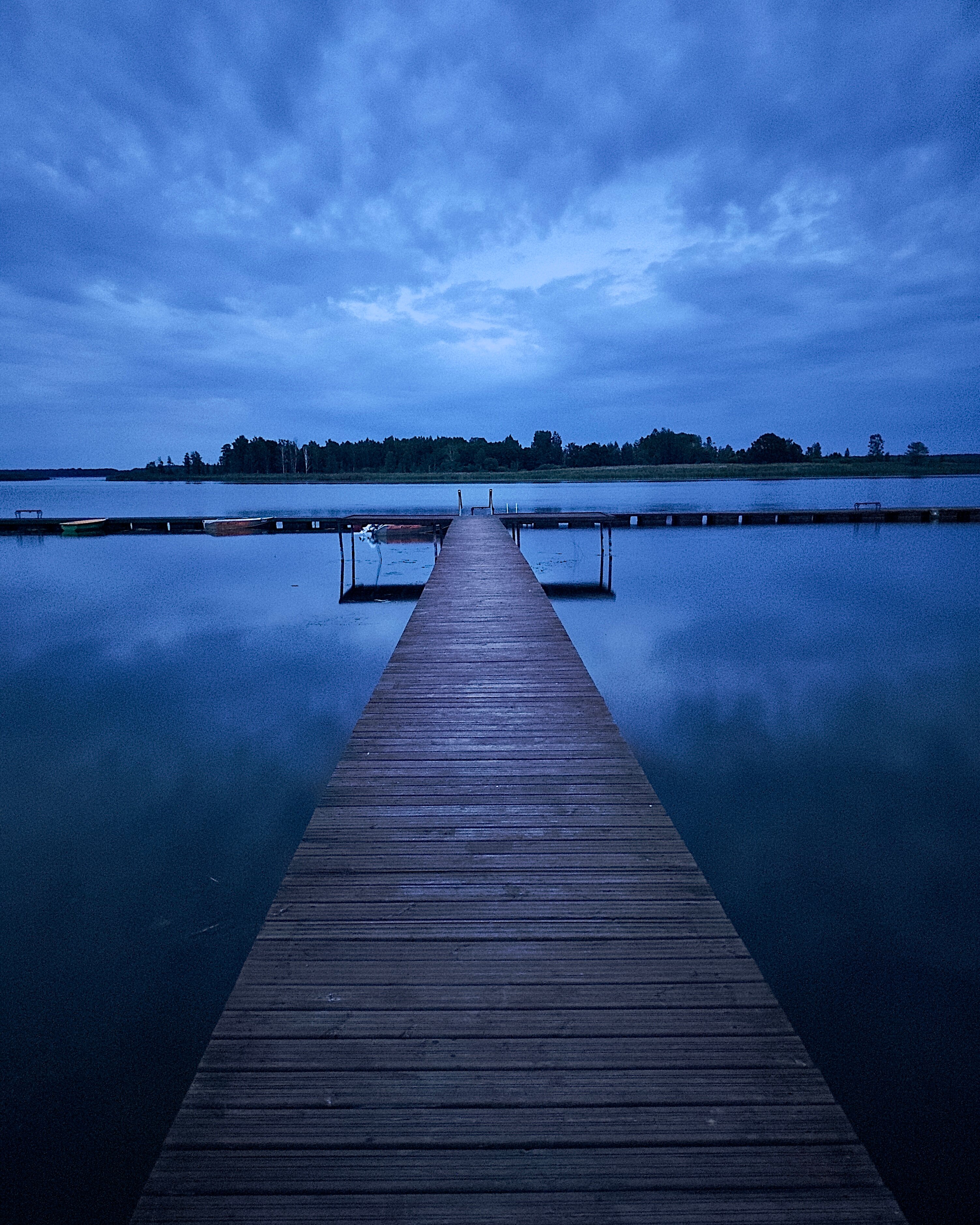 Фото Три медведя