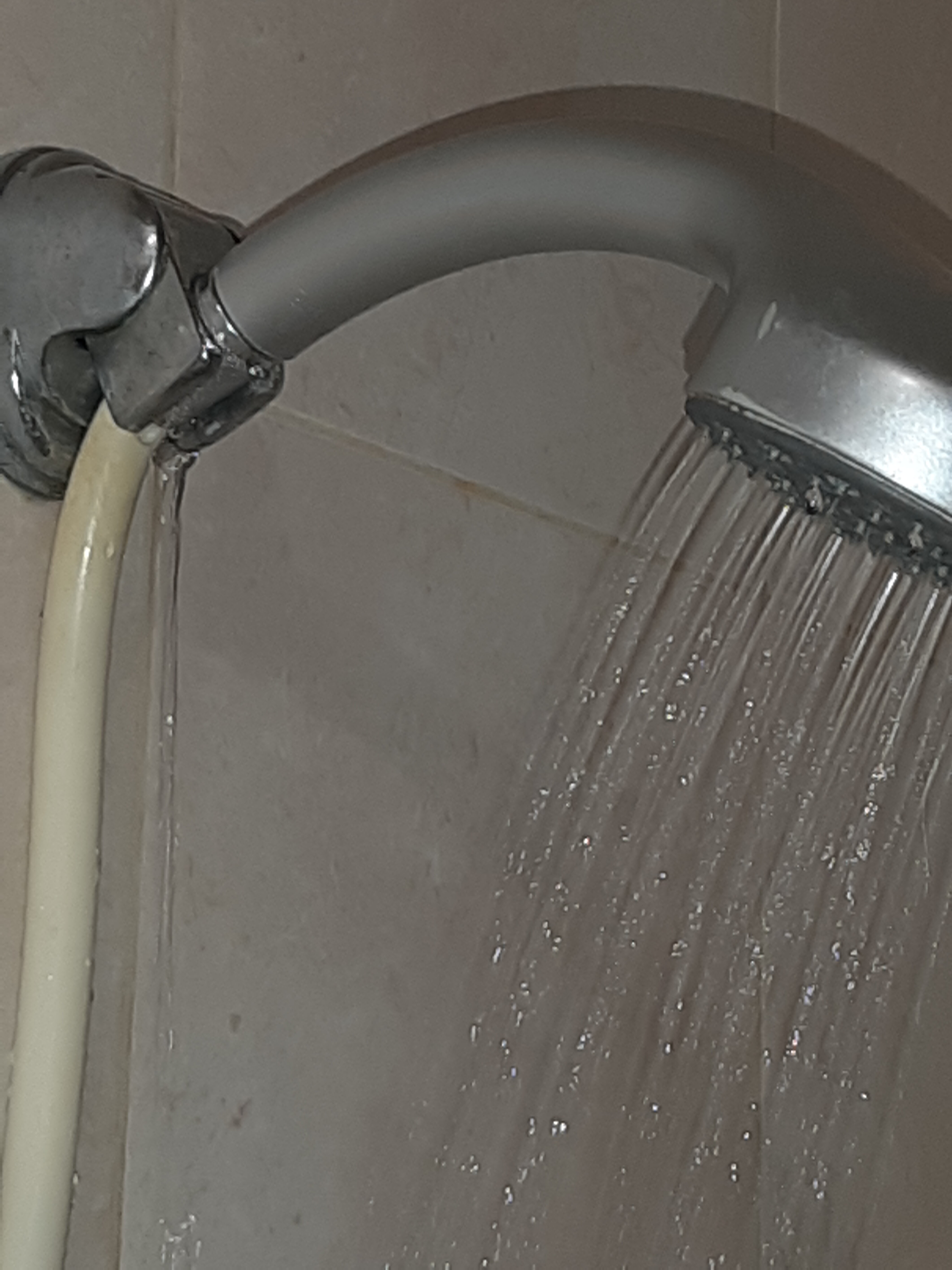 Фото Звезда