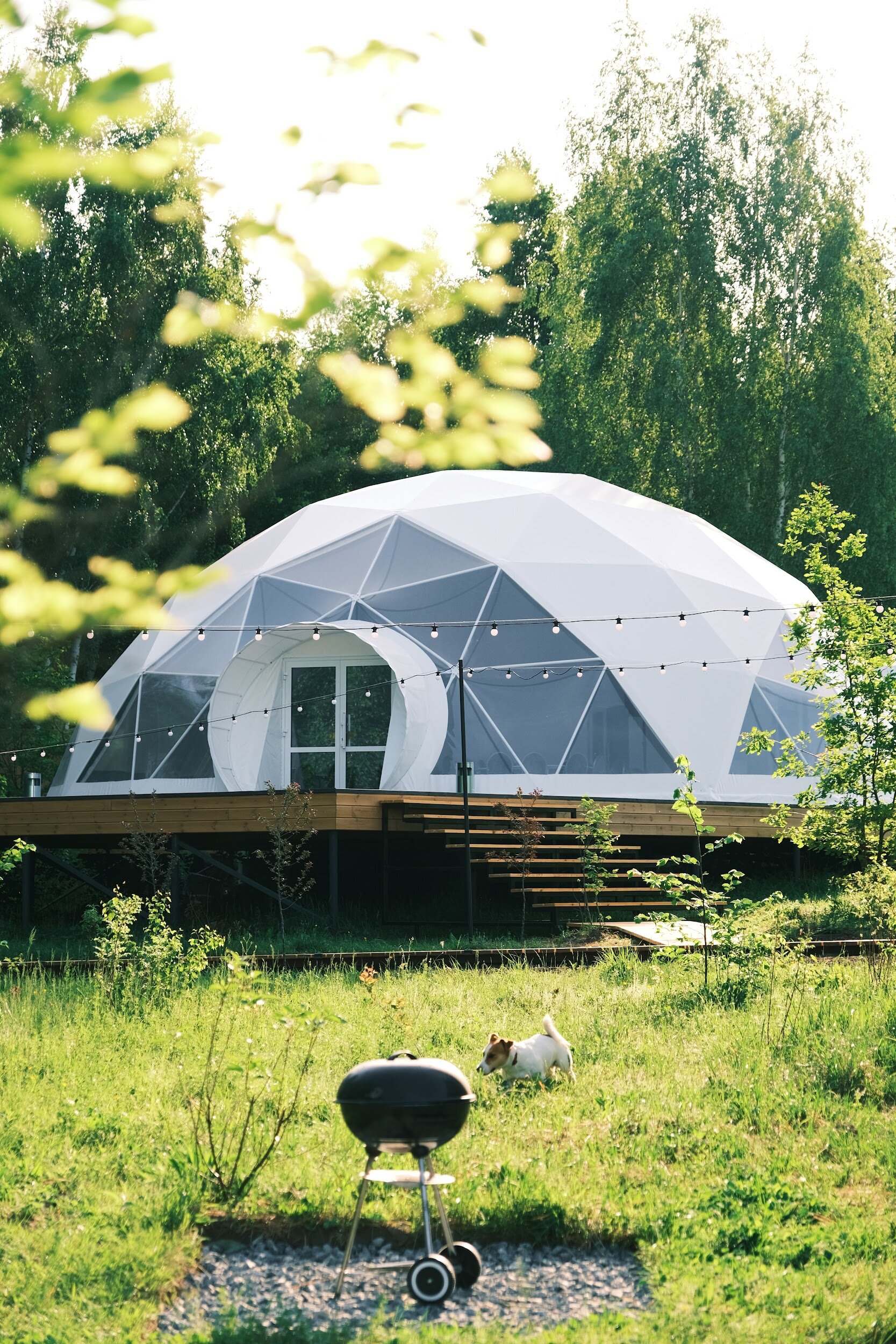 Фото Sviyaga Glamp