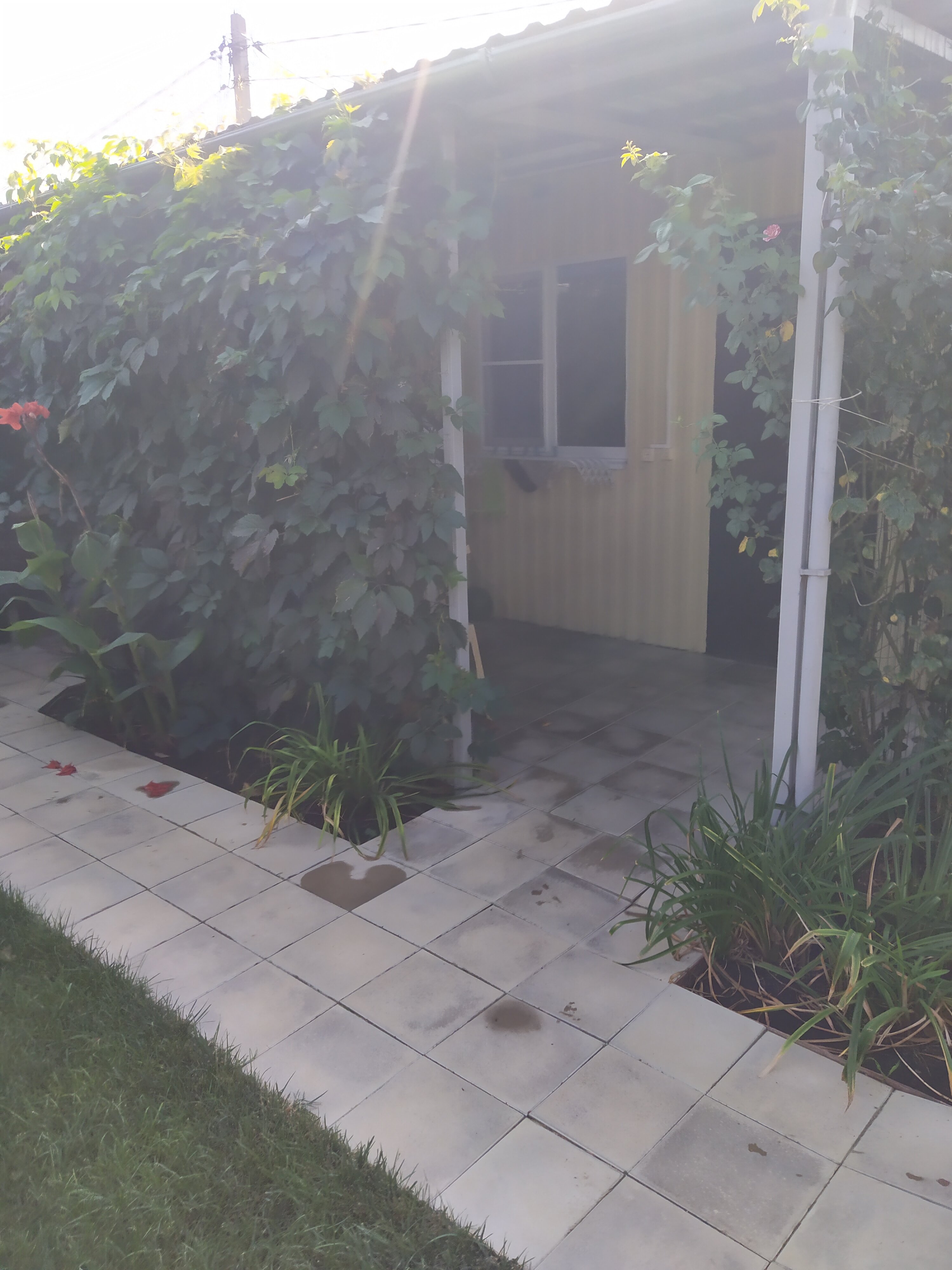 Фото АртДиЖан