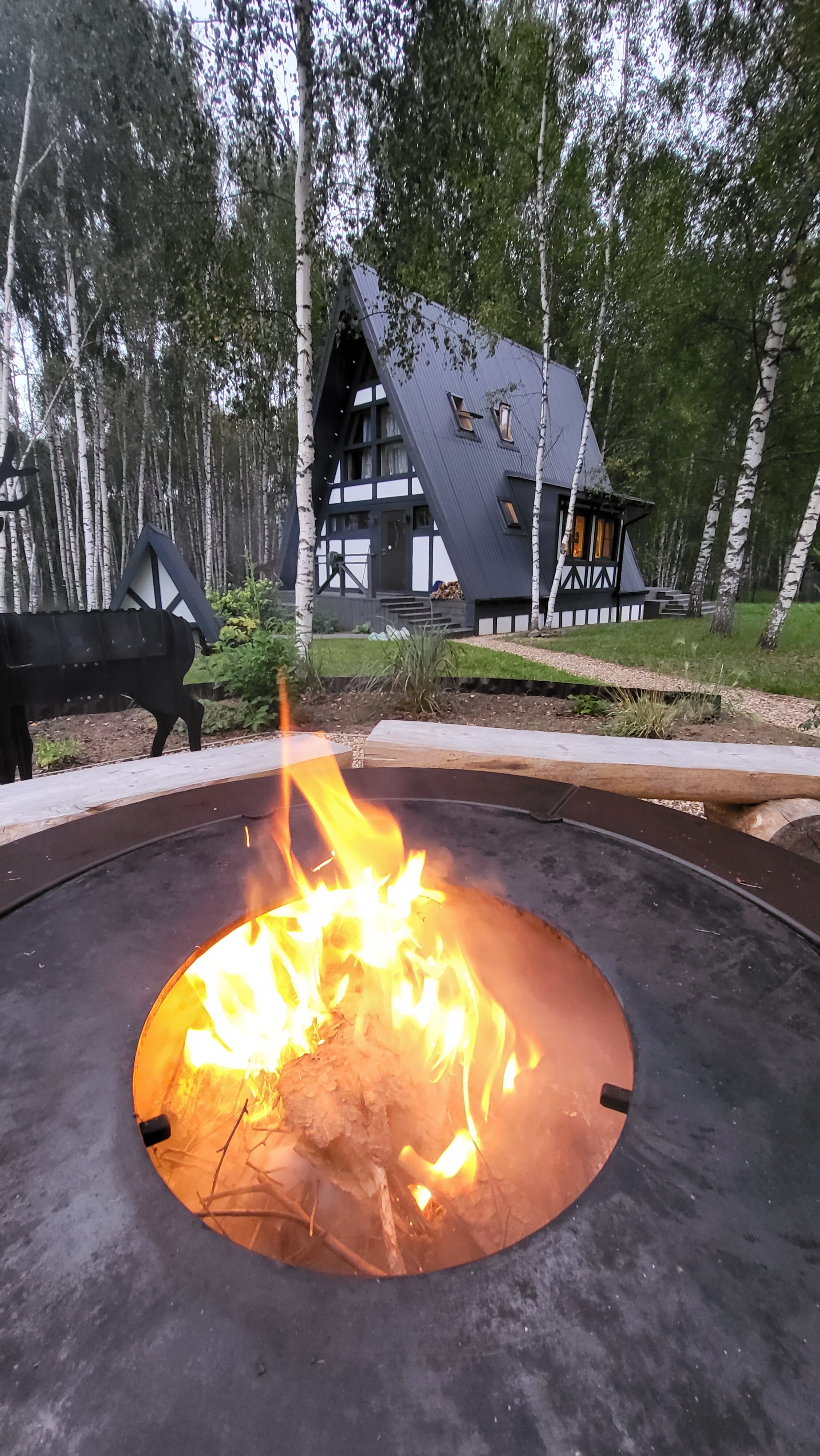 Фото Овчинино Лайф