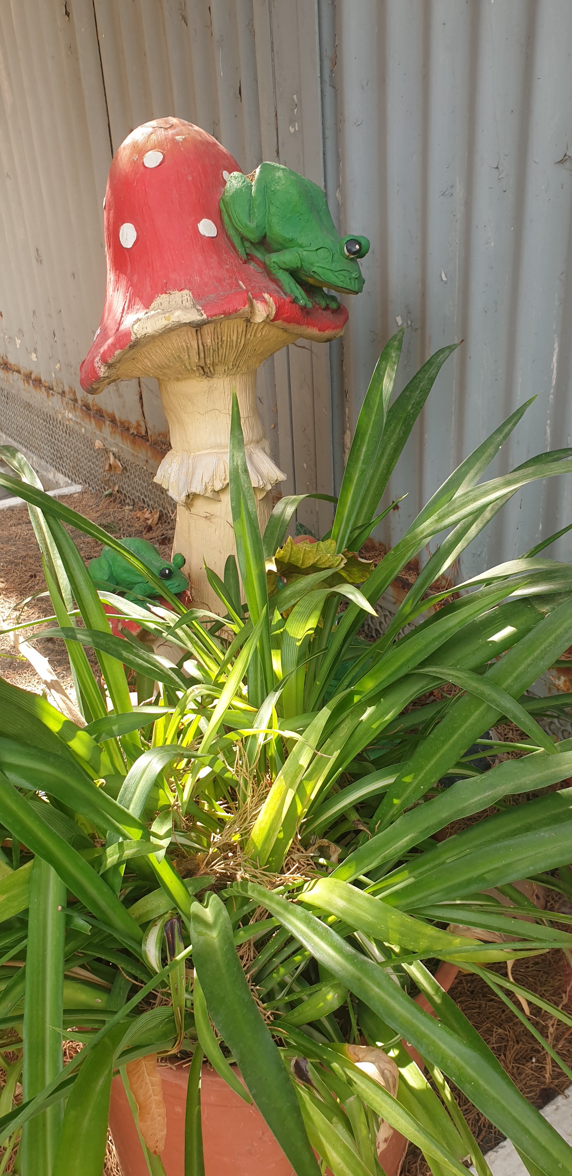 Фото Гостевой дом на Севастопольской 46