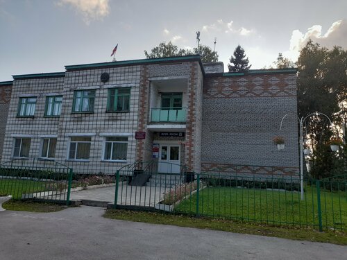 Администрация Администрация Борковского сельсовета Маслянинского района Новосибирской области, Новосибирская область, фото