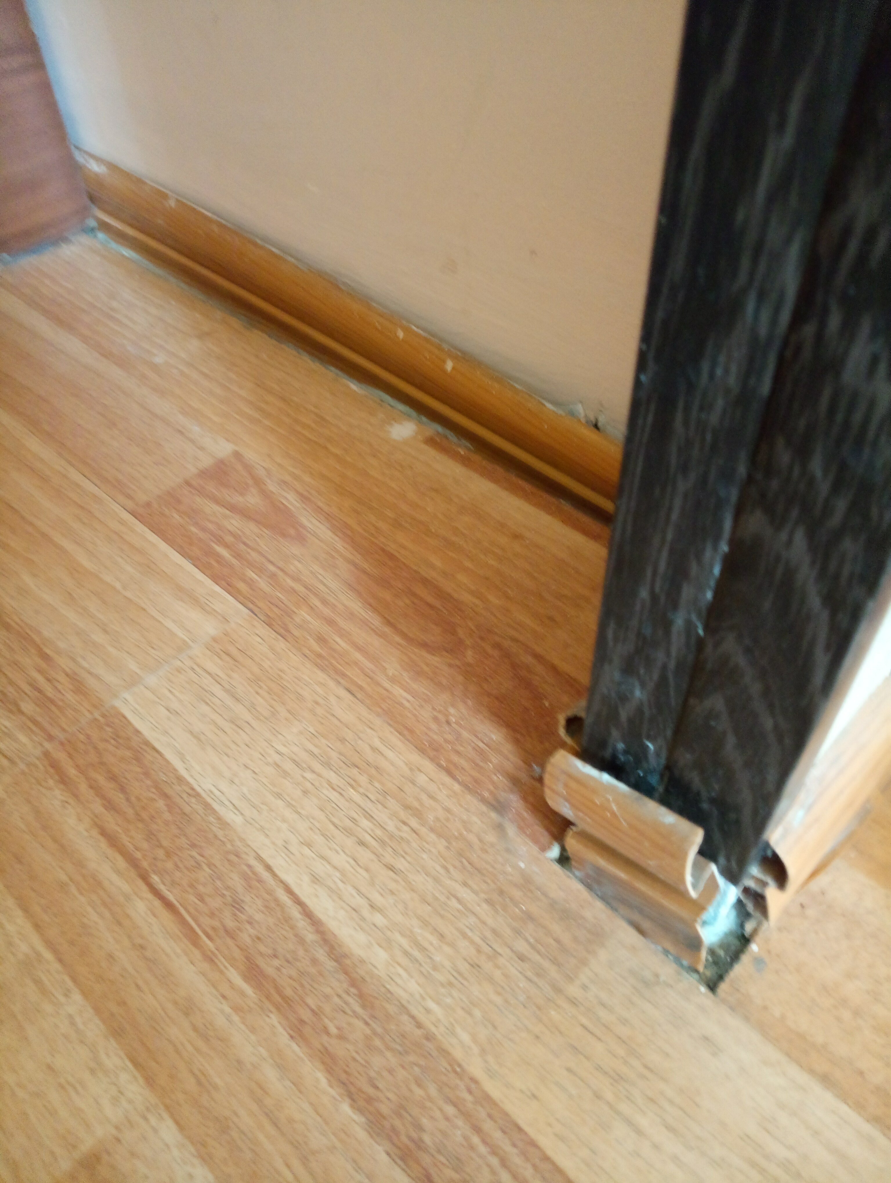 Фото Фрегат