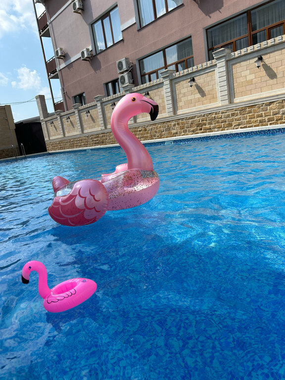 Фото Султан