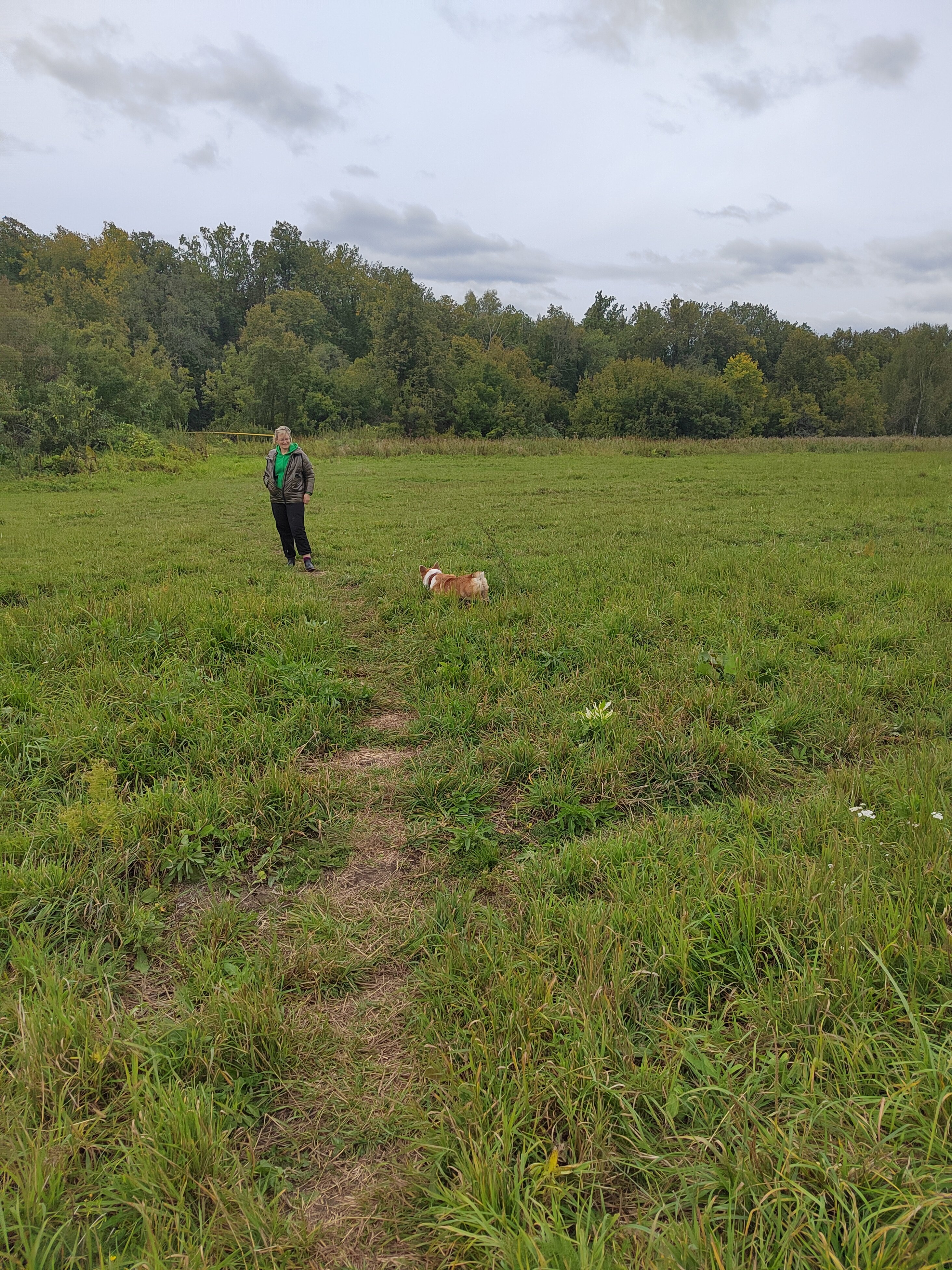 Фото Лесная дача