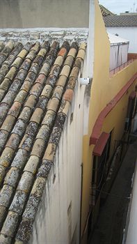 Фото Pension Montorena