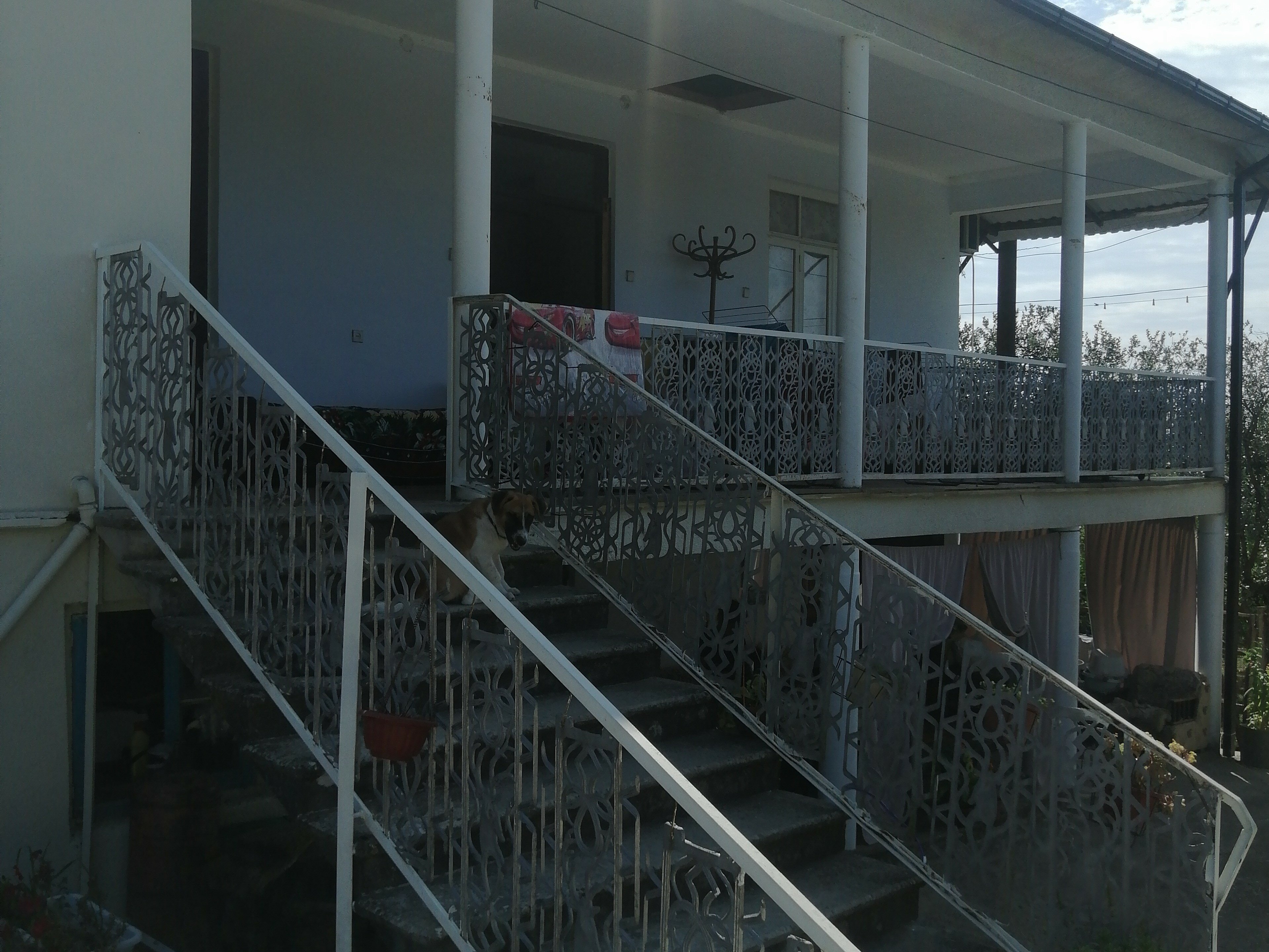 Фото У старого винодела