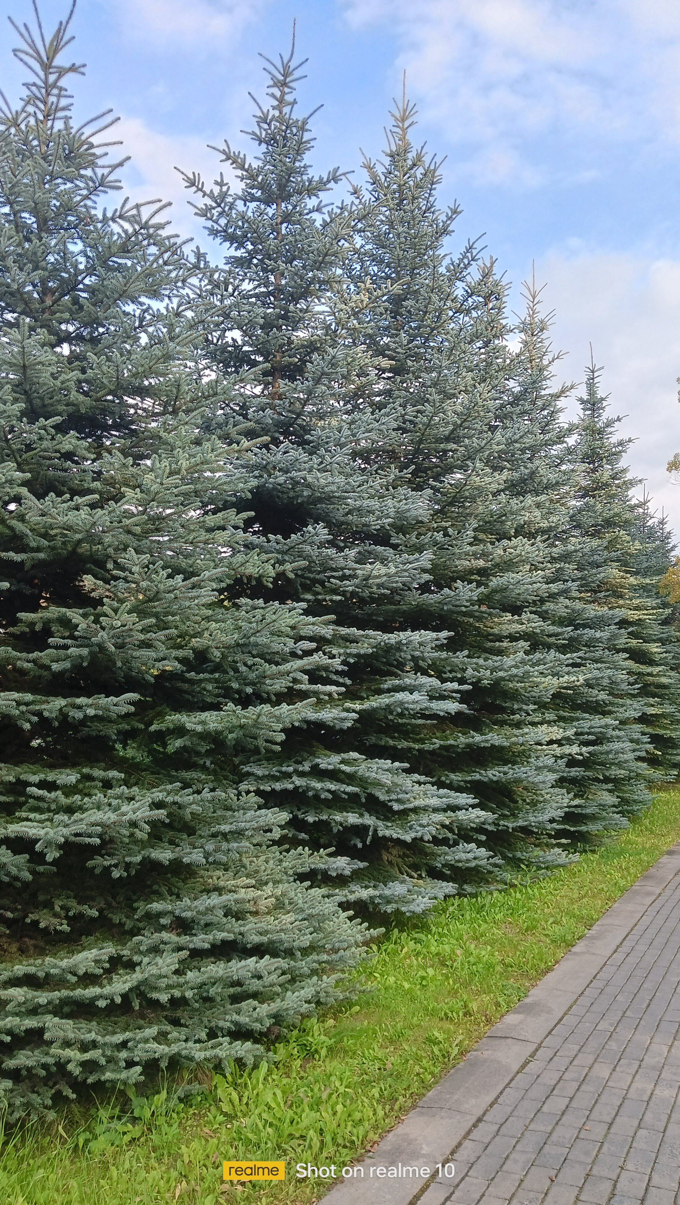 Фото Восход