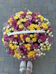 Klumba (ulitsa Omelkova, 14Б), floristeria