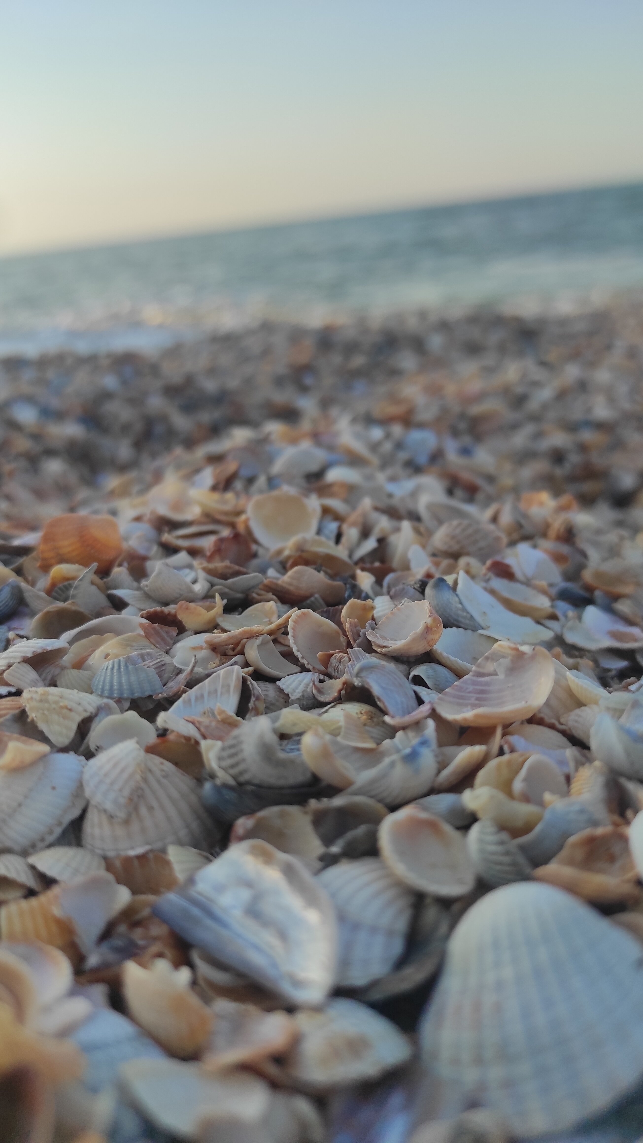 Фото Солнечный пляж