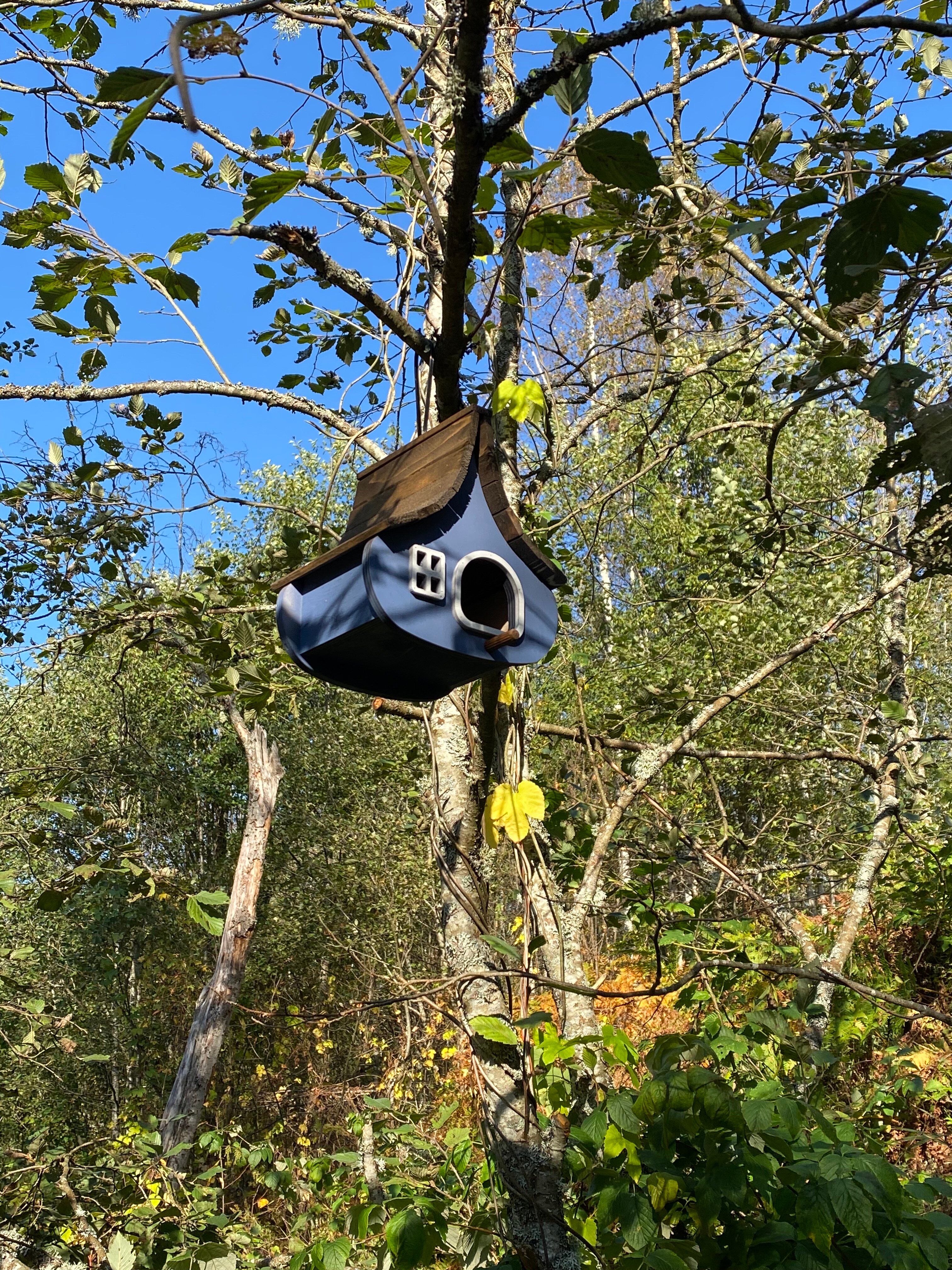 Фото Рустик Кантри Клаб