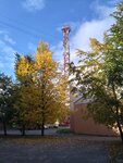 Телефонная станция (Nasedkina Street, 6) ، شبكة خطوط الهاتف في المدينة