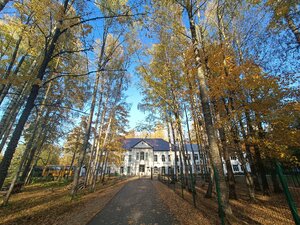 Усадьба Базилевских (35А, село Горки), достопримечательность в Нижегородской области