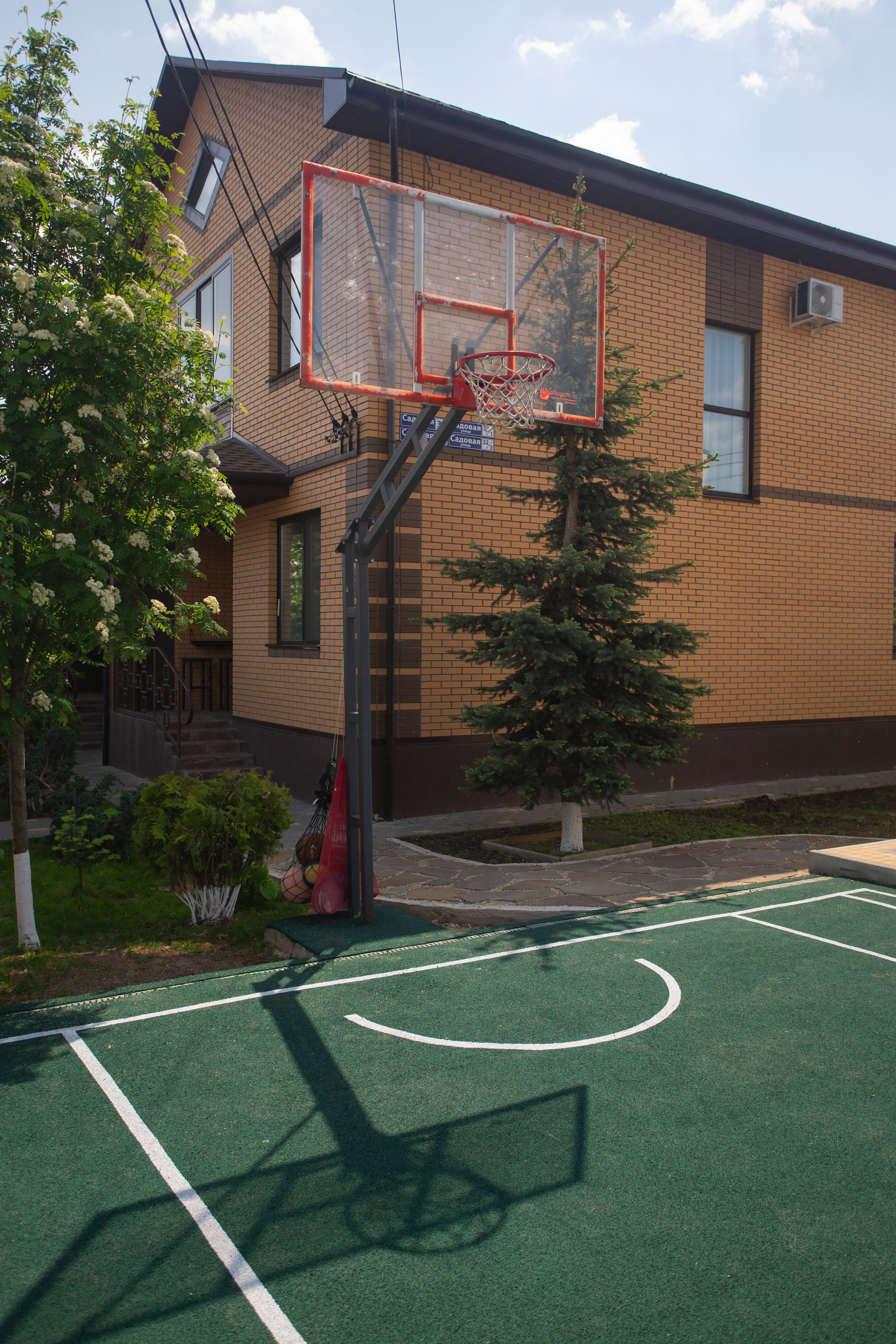 Фото Тополя