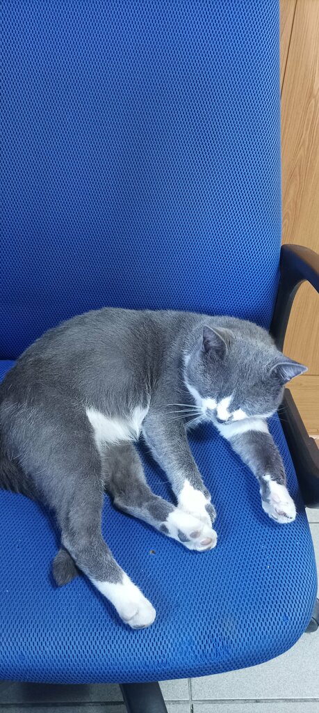 Computer repairs and services Pioner, Tikhoretsk, photo