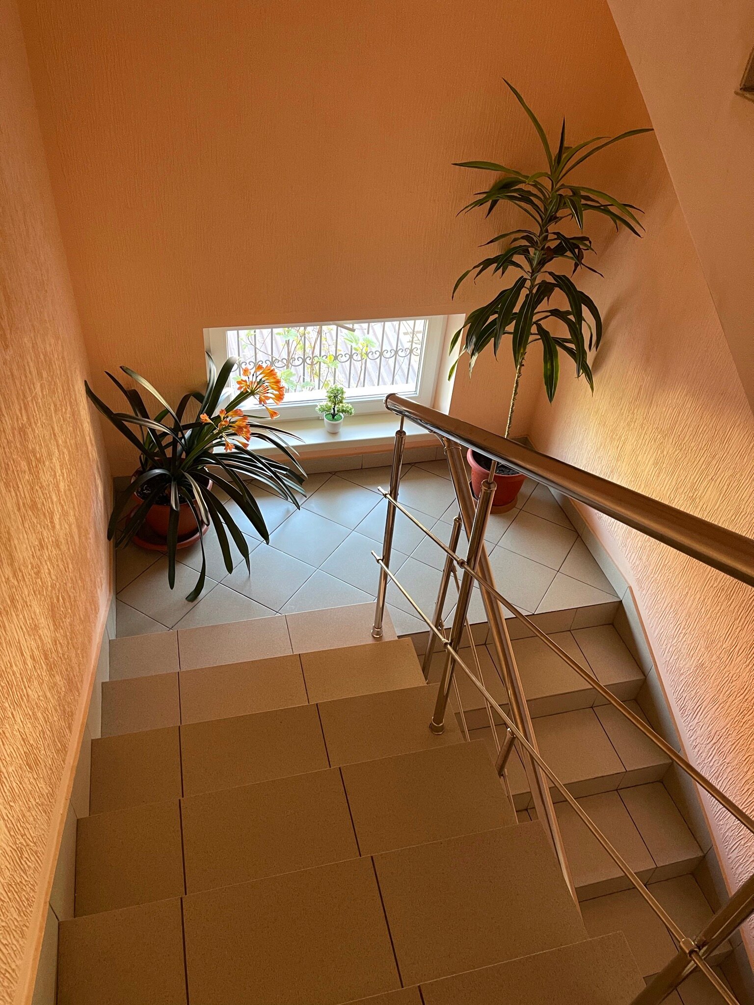 Фото Виктория