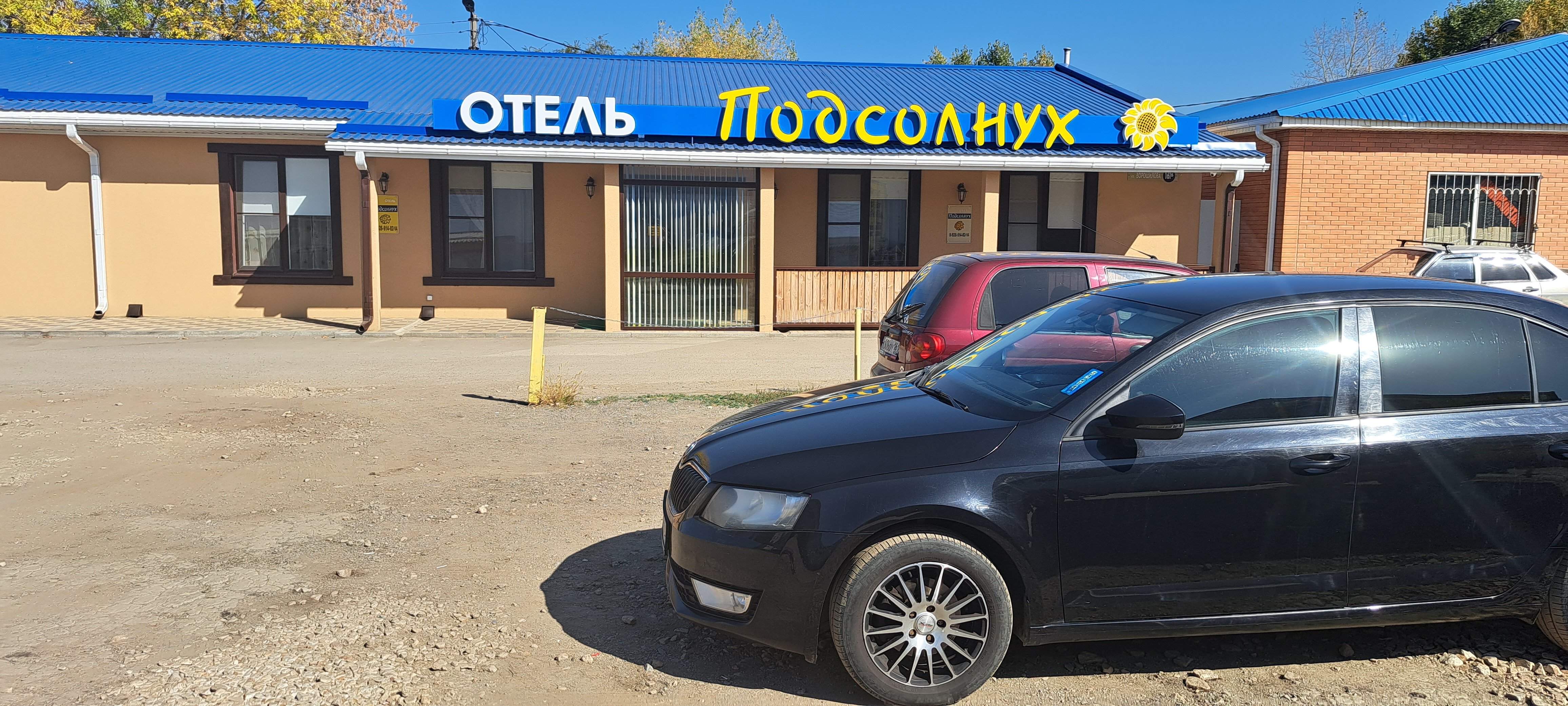 Фото Подсолнух