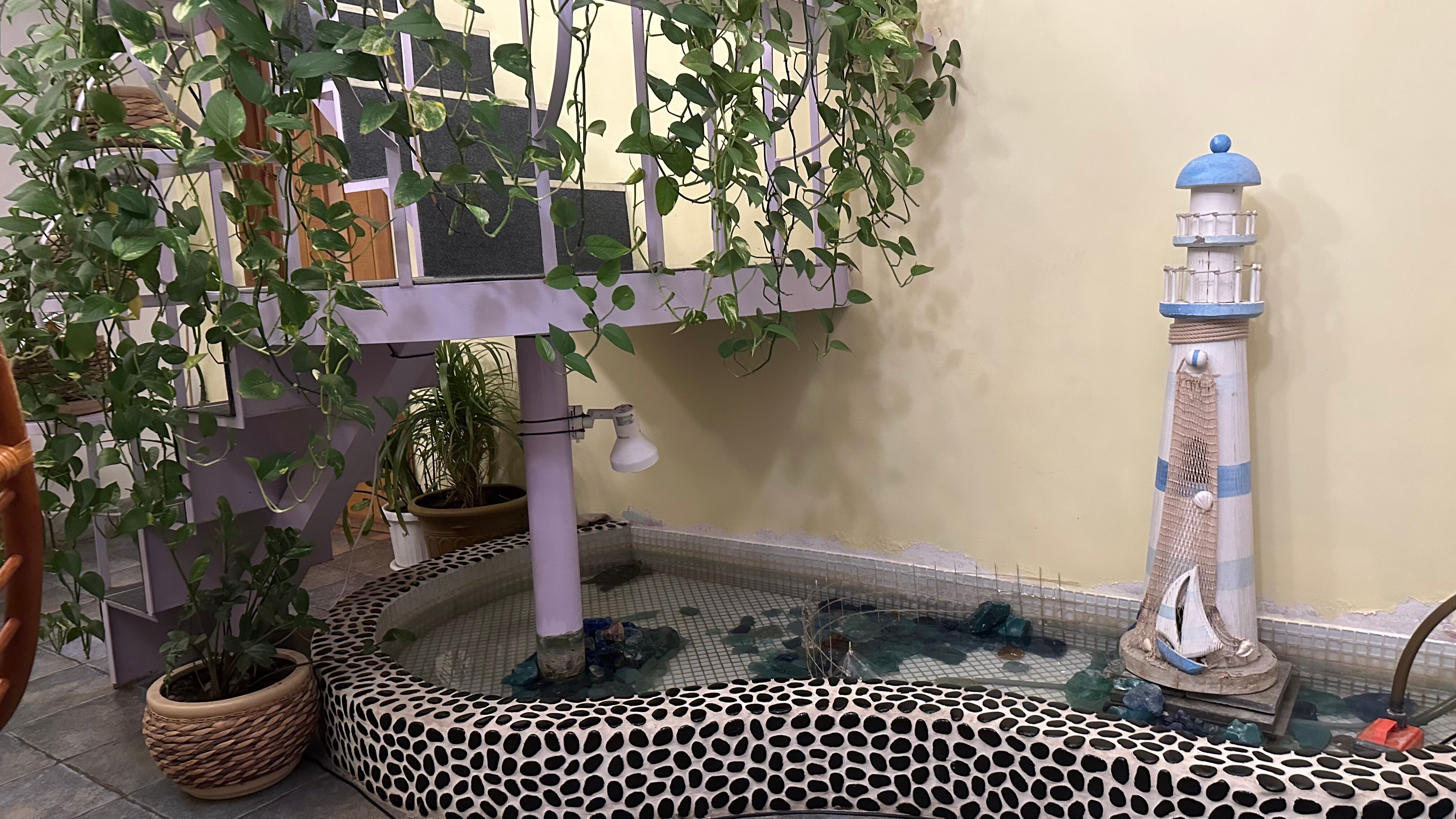 Фото На Верандах