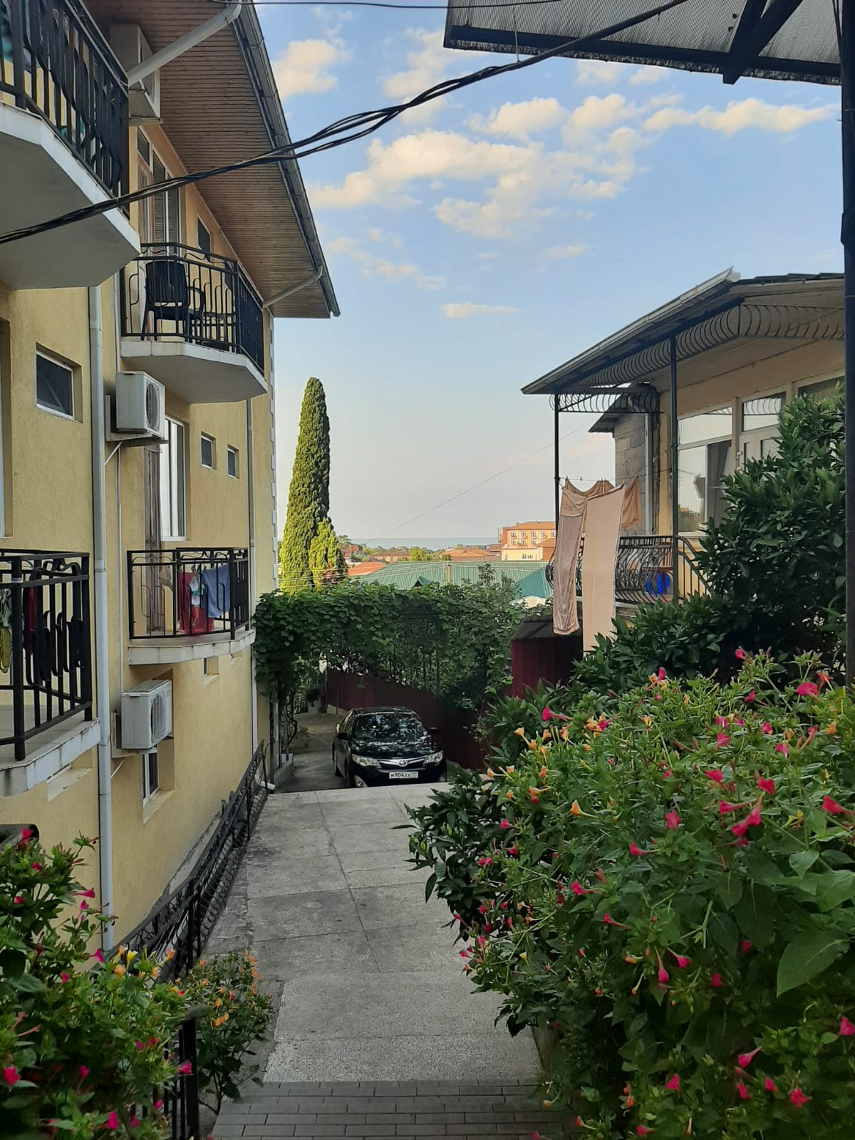 Фото Мандариновый Сад