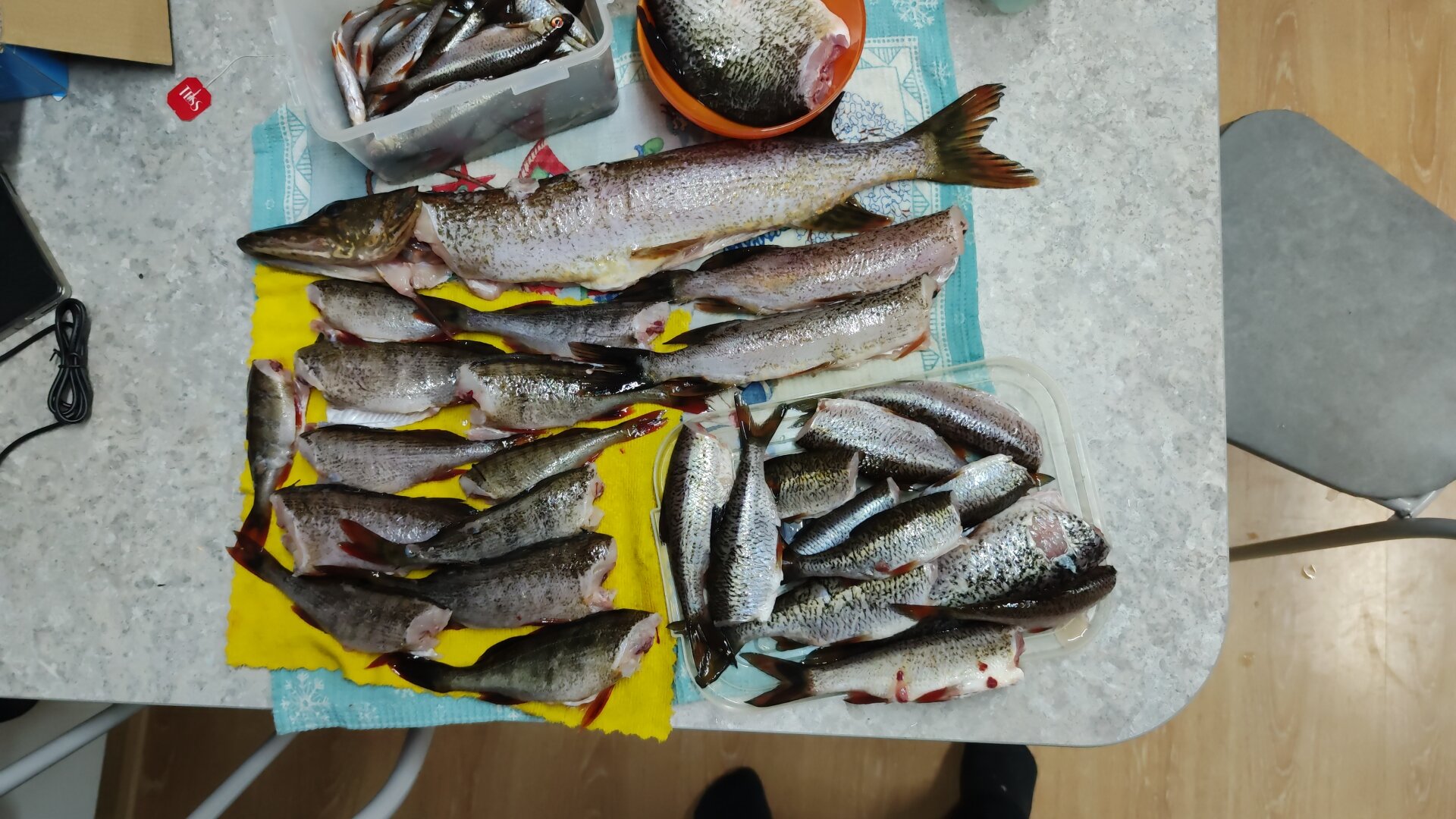 Фото Карельские зори