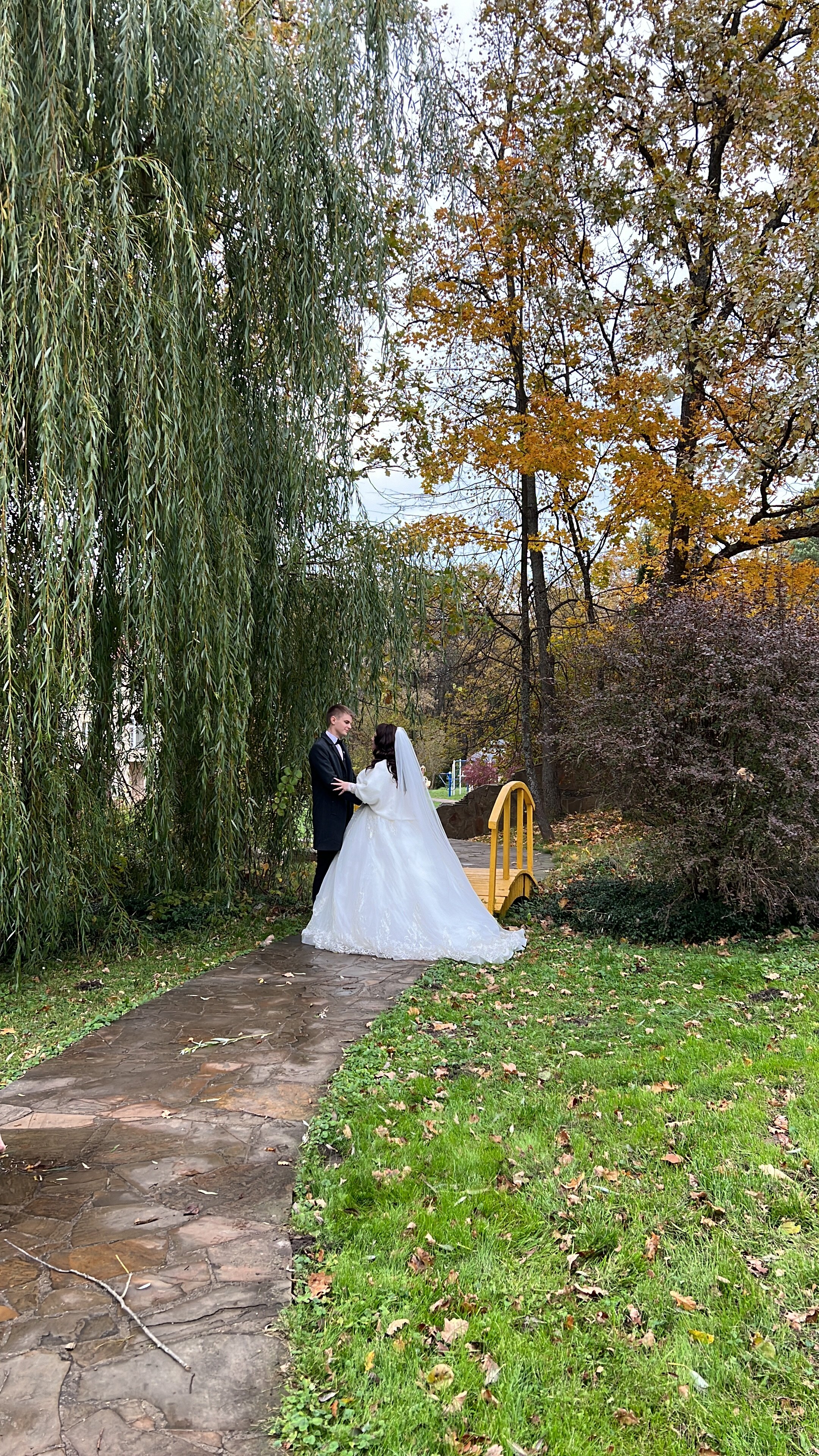 Фото Молния