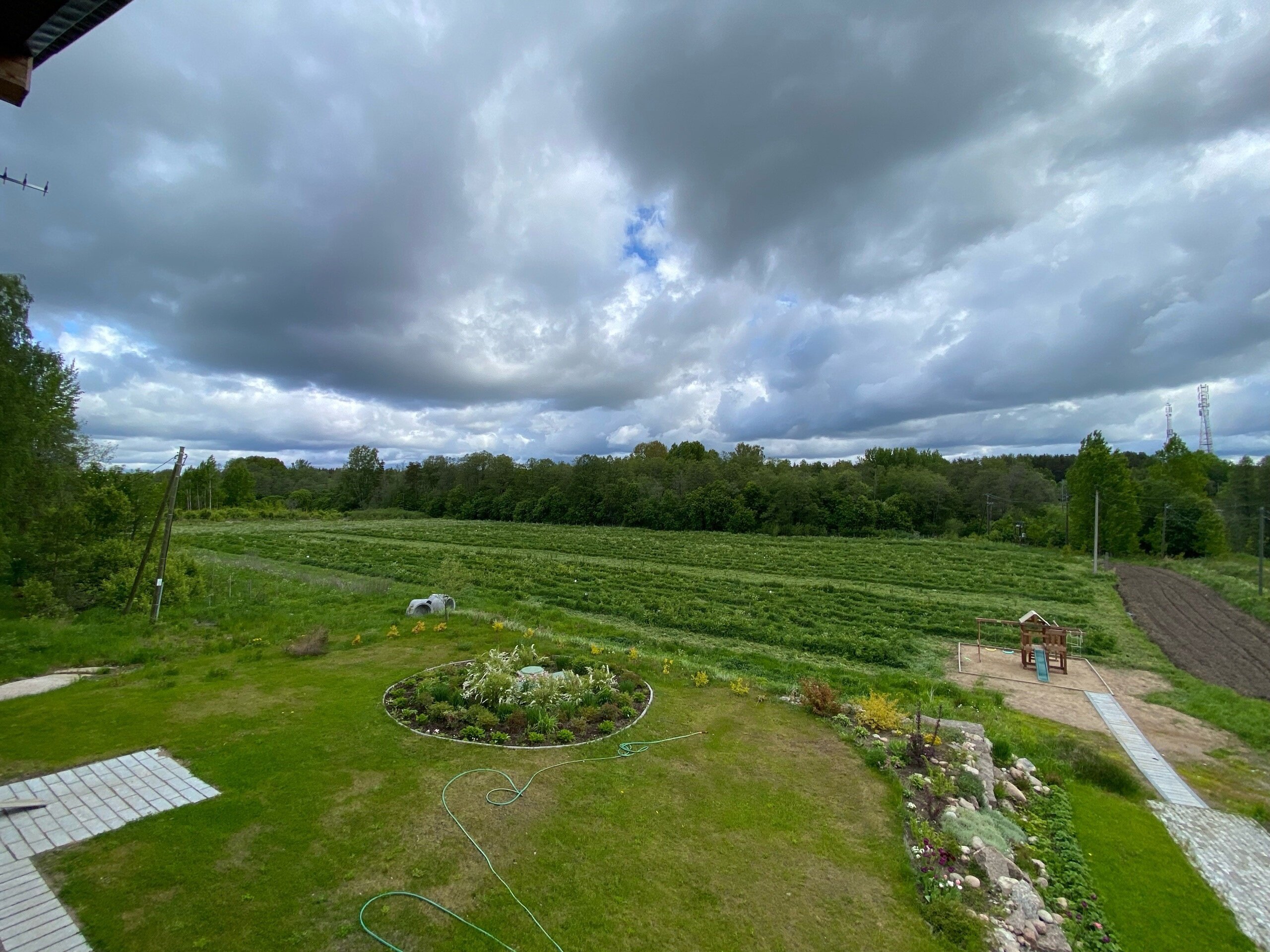 Фото Вилайоки АГРО