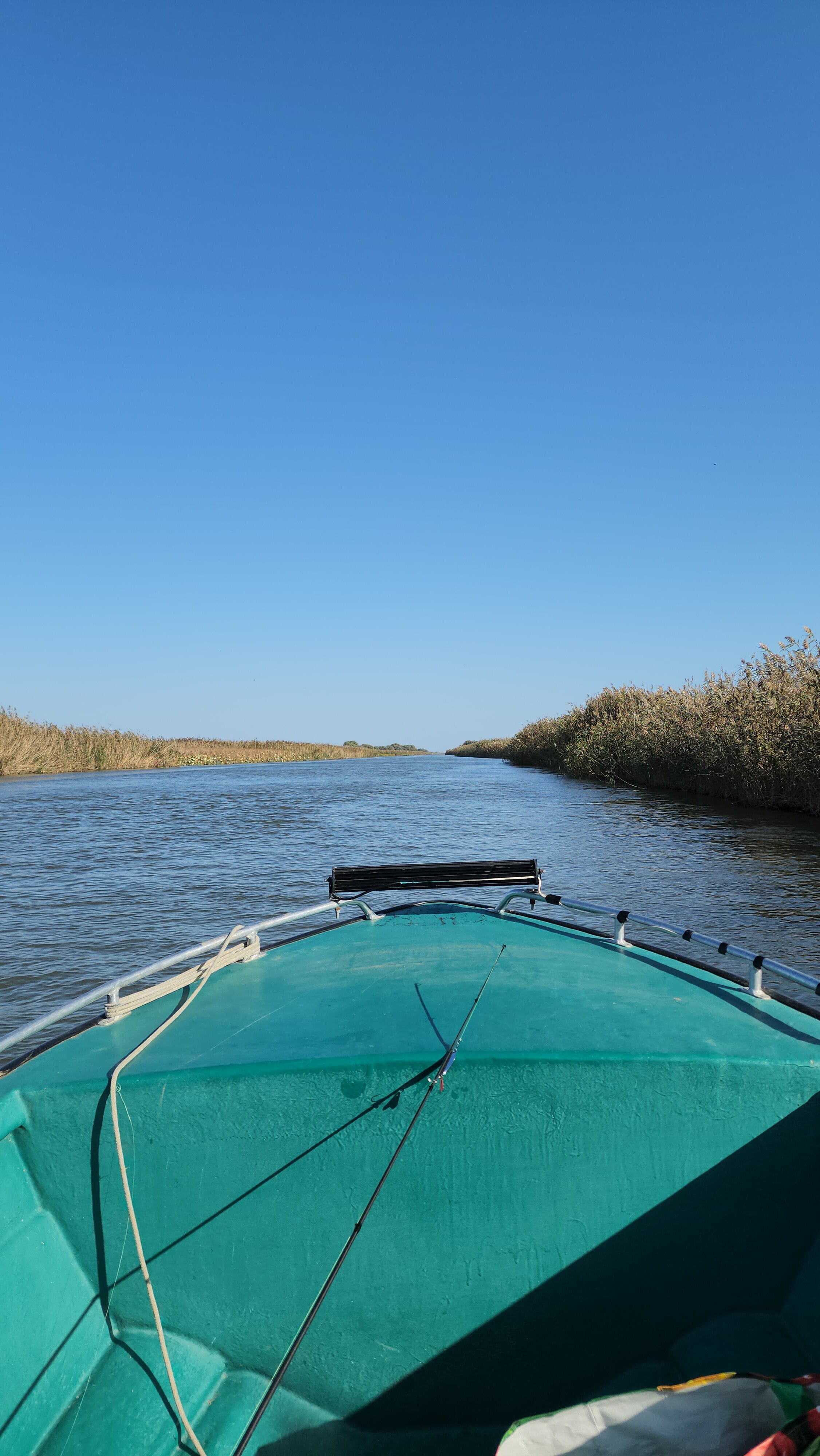 Фото Пиранья Дельта