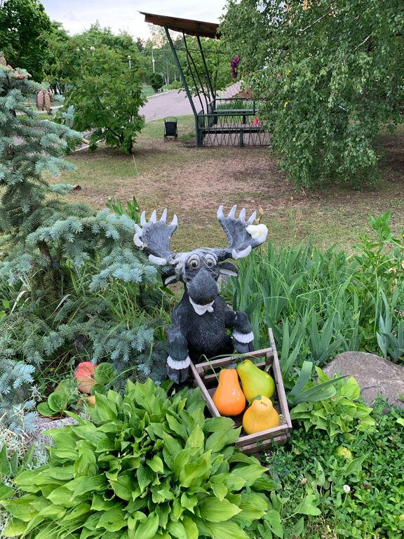 Фото Лесная жемчужина