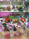 Цветы (улица Борисова, 1/9), flower shop