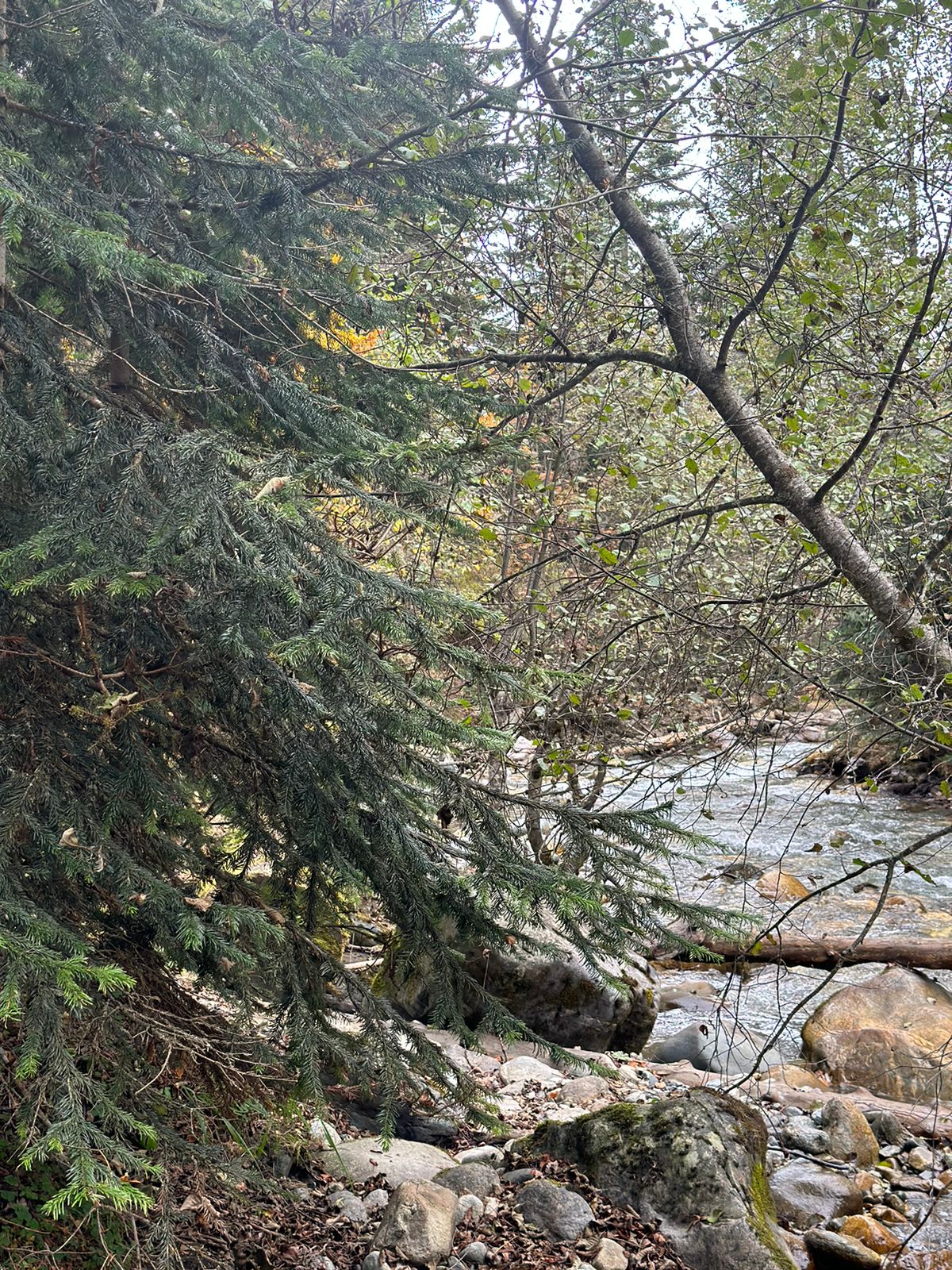 Фото Аксакал