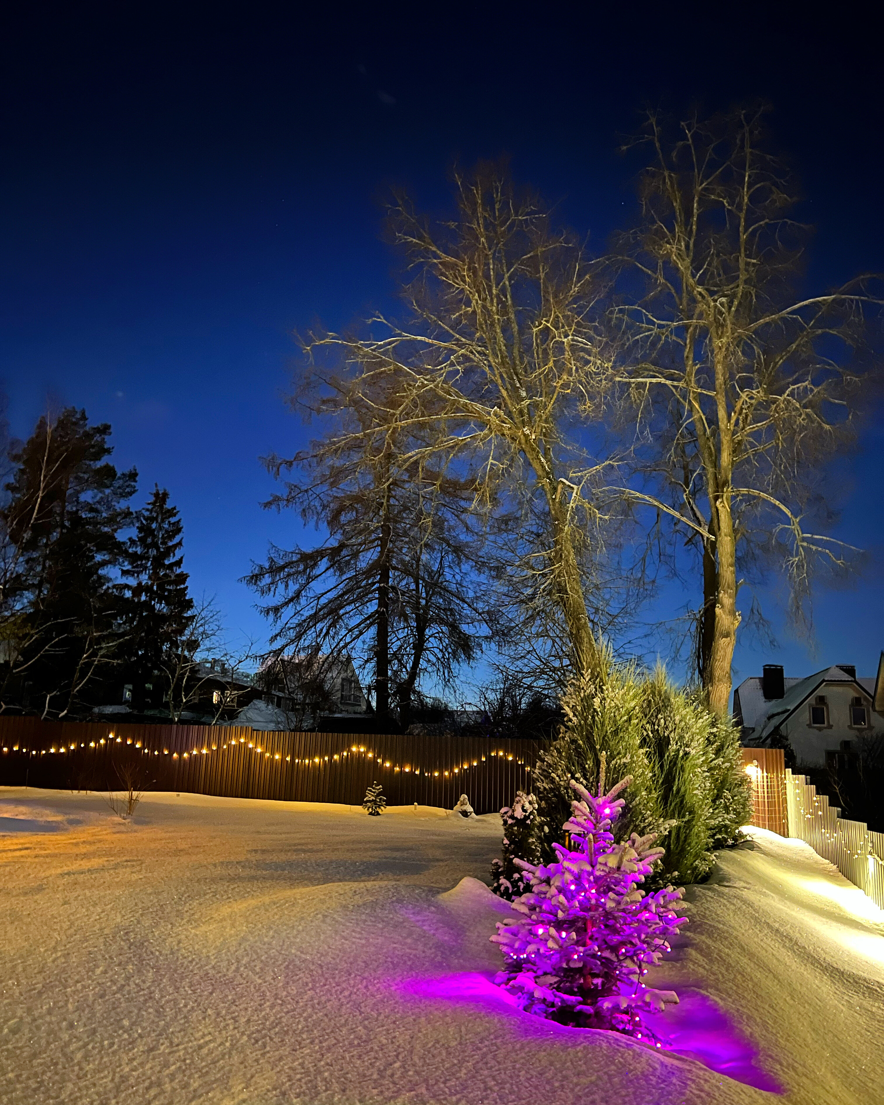 Фото Four Lions House