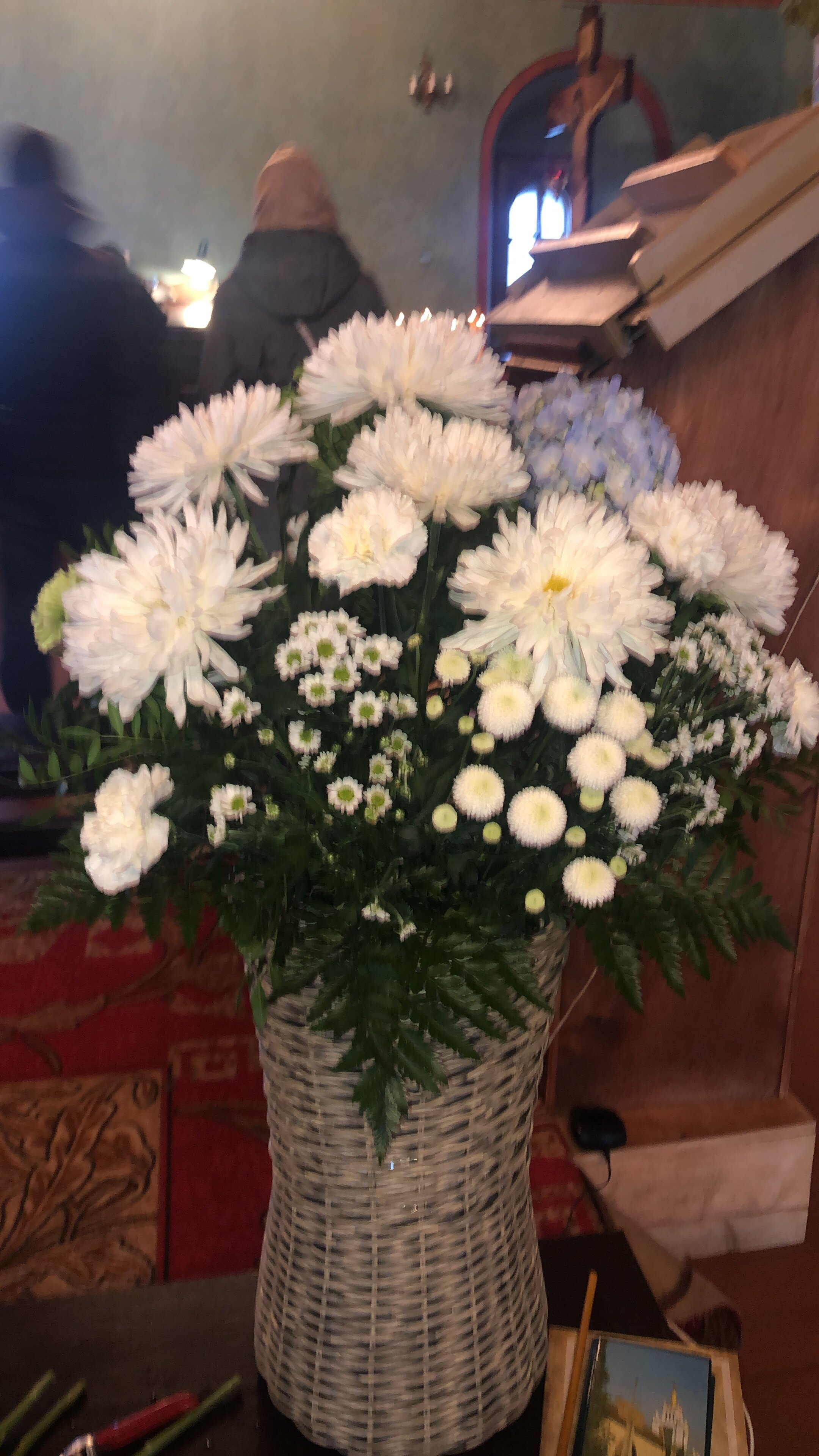 Фото Ковчег