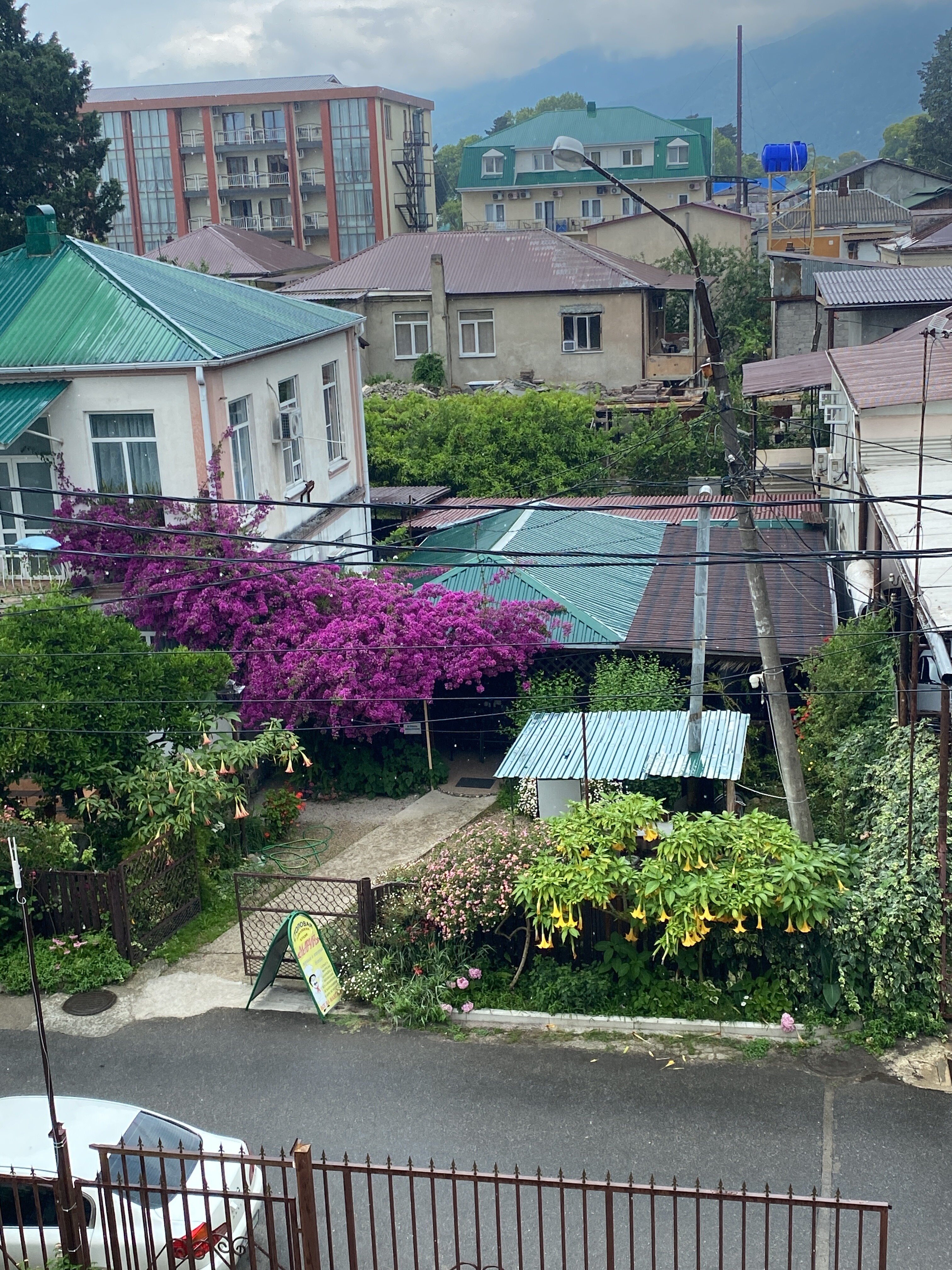 Фото Калипсо