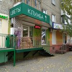 Клумба (Рабочая ул., 85, Саратов), магазин цветов в Саратове