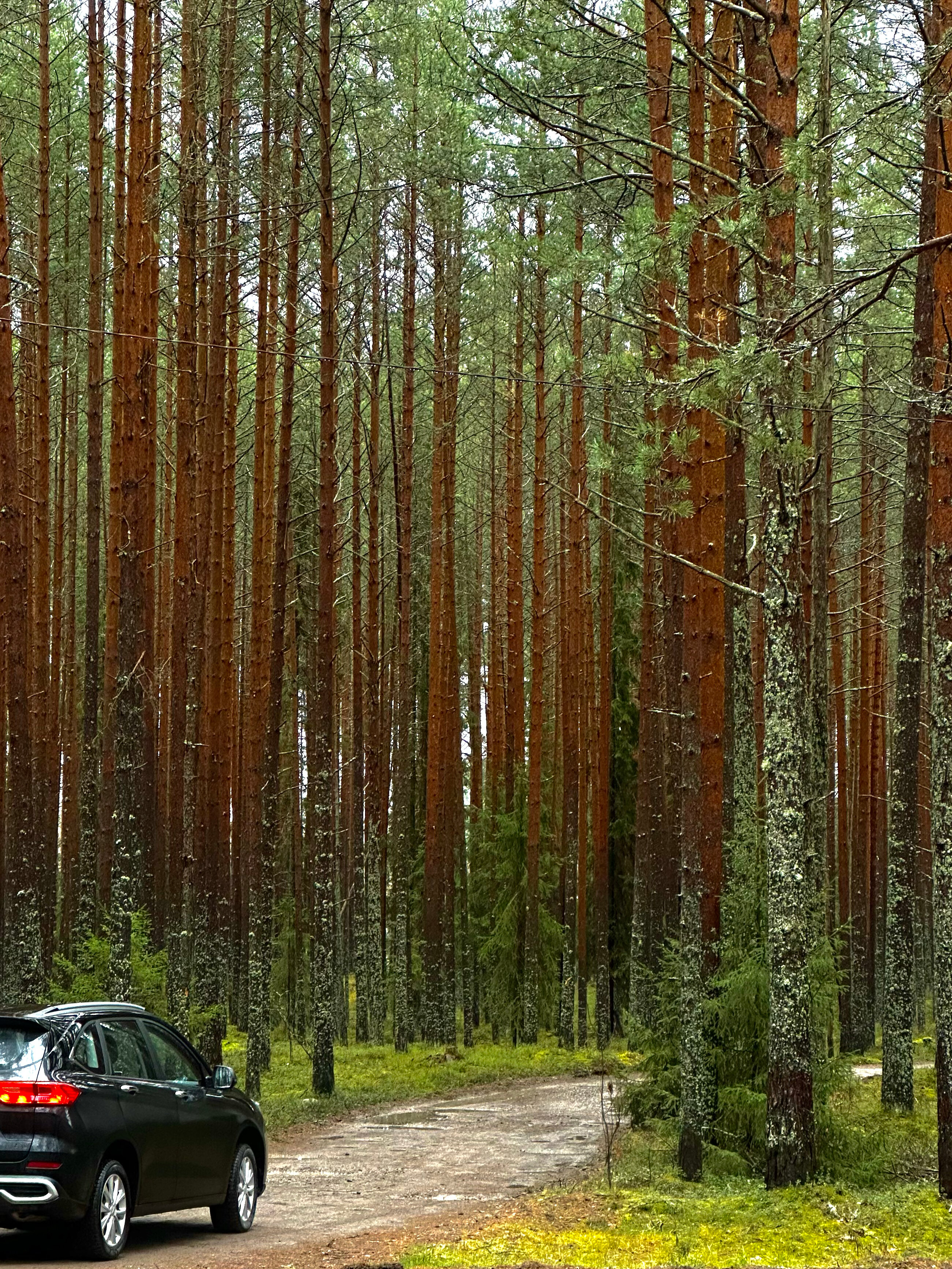 Фото Ривер Хаус