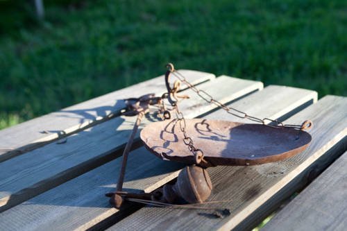 Фото Casa dell'Orto Agriturismo