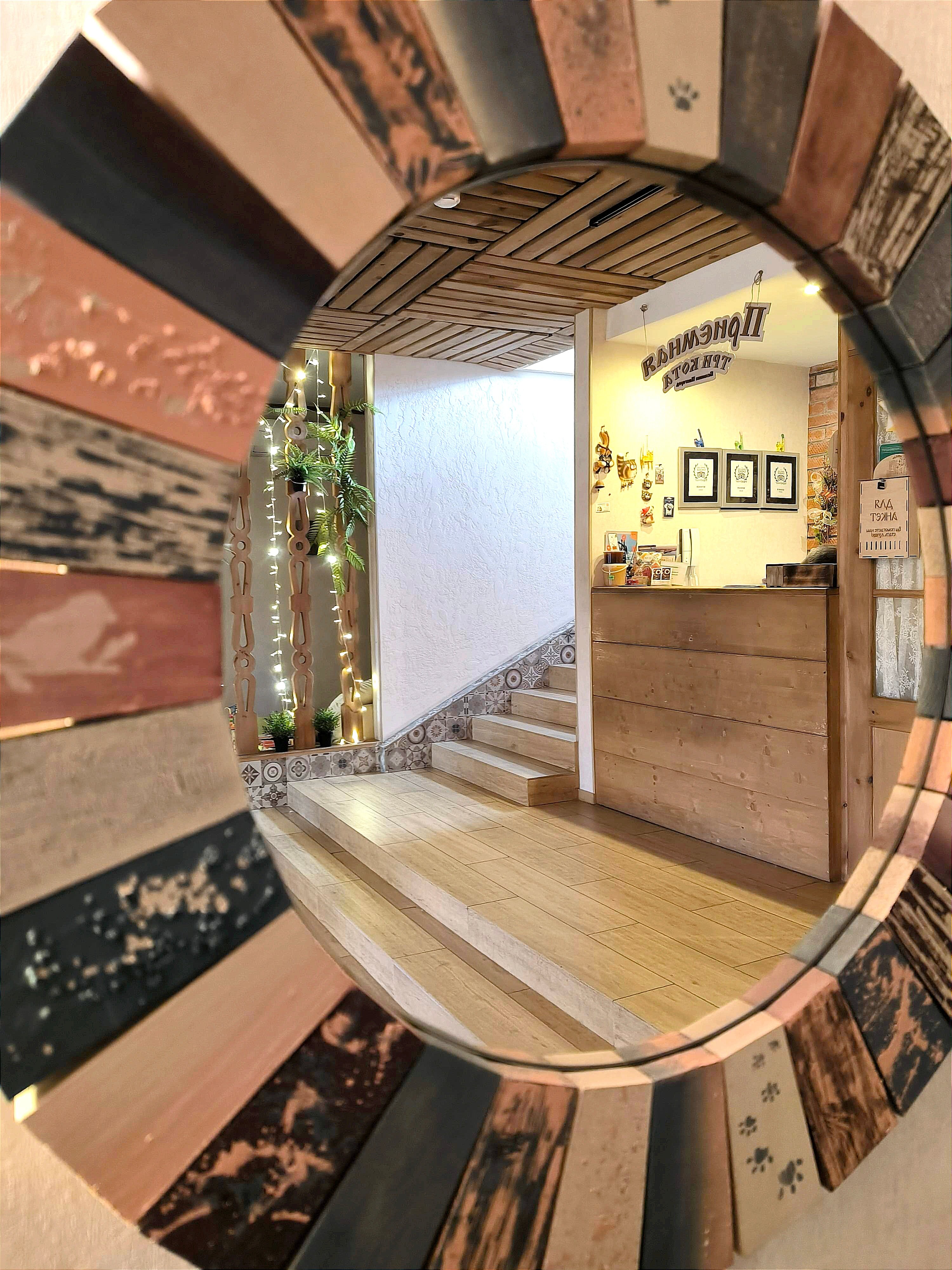 Фото Три кота