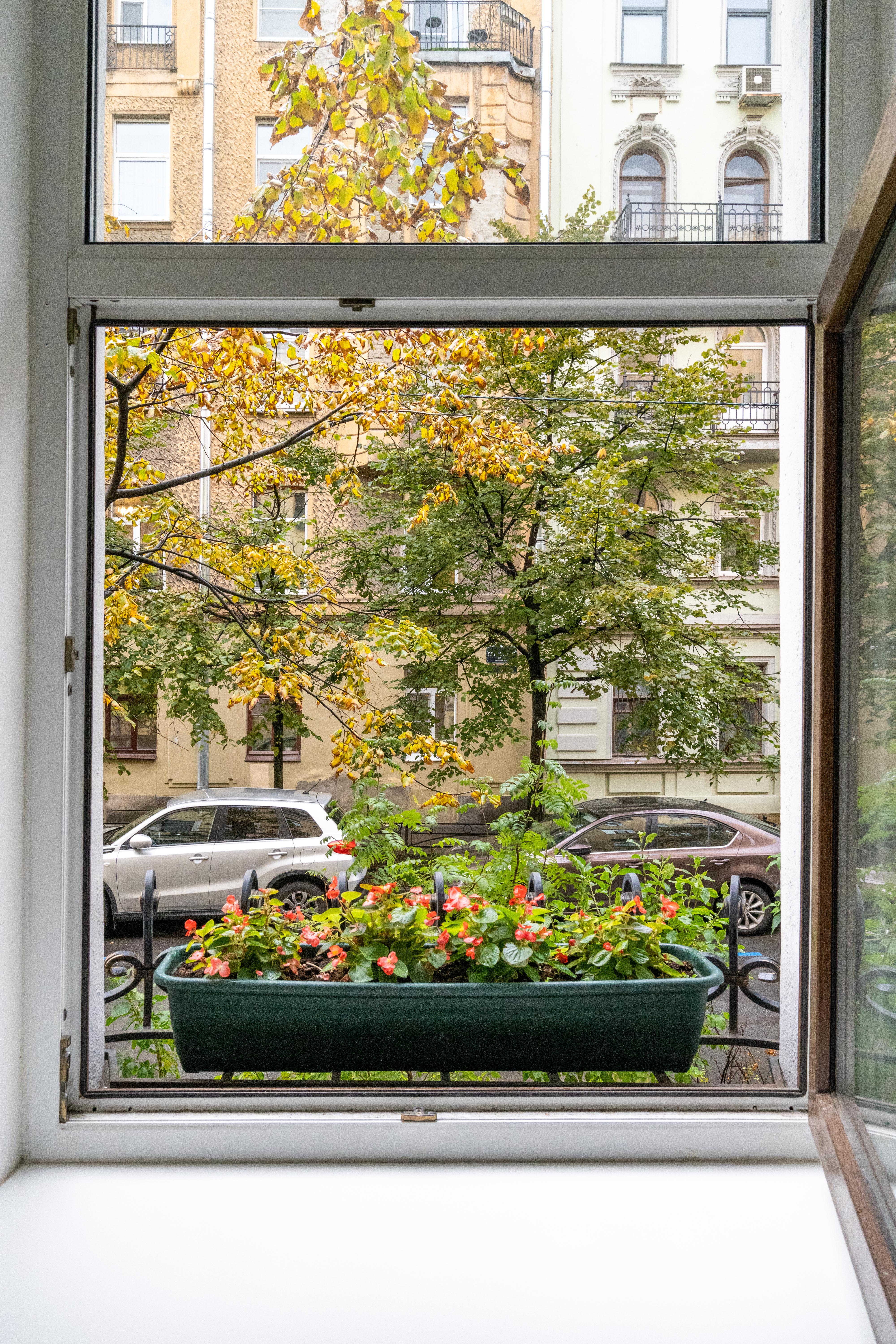 Фото Евразия