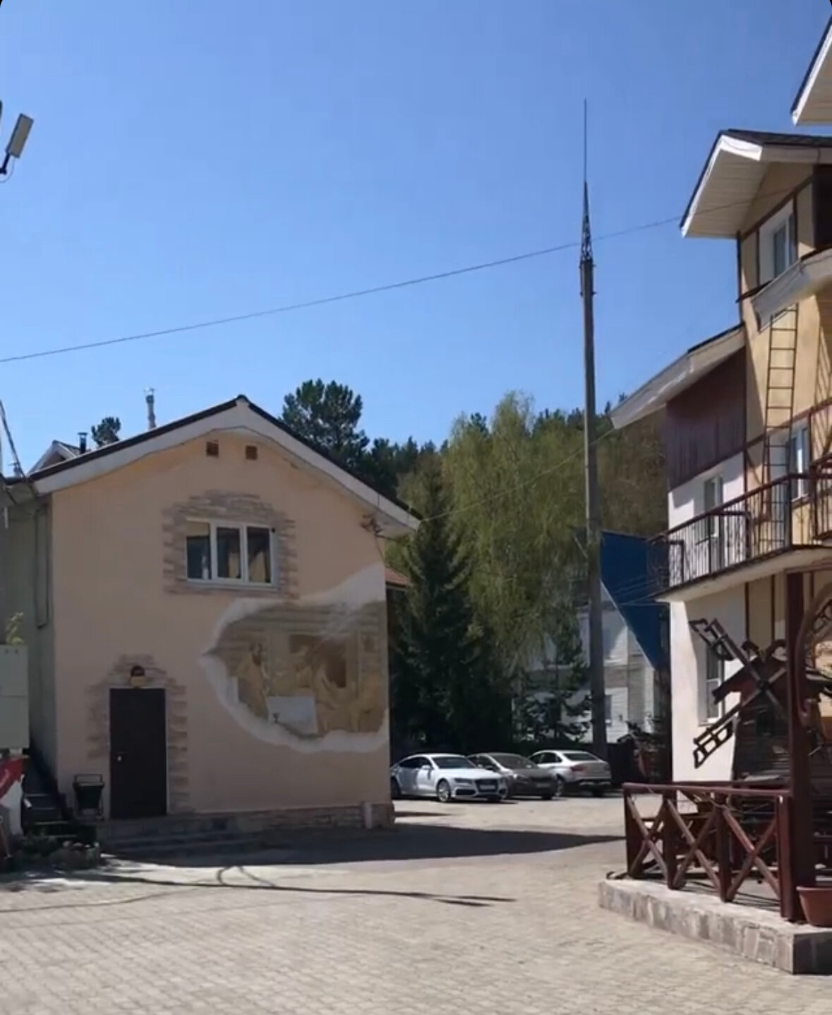 Фото Эдельвейс