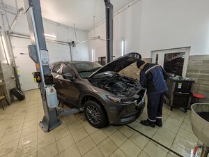 Avtozal (vulica Žastkova, 11В/9), car service, auto repair