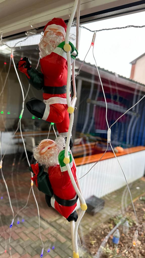 Фото Моника