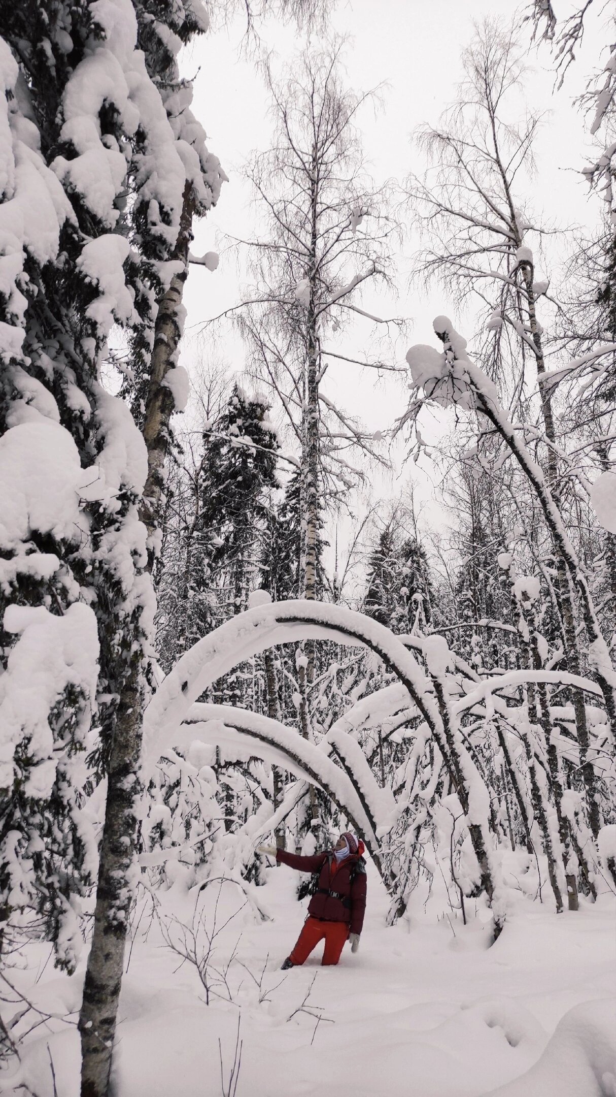 Фото Дарина